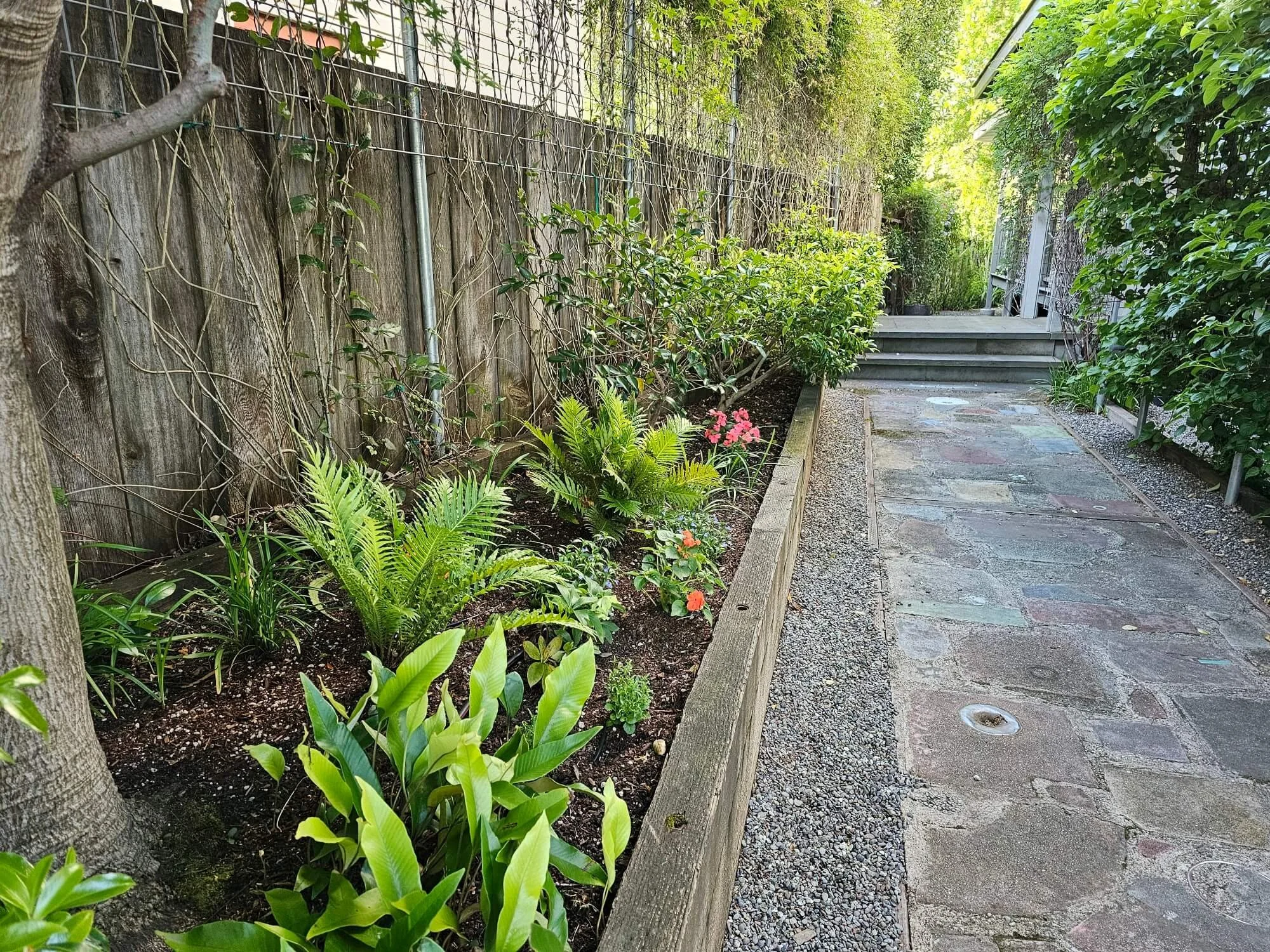 A garden pathway with stones and gravel, bordered by lush green plants and bushes, and a wooden fence on the left side with climbing plants. There are steps at the end of the pathway.