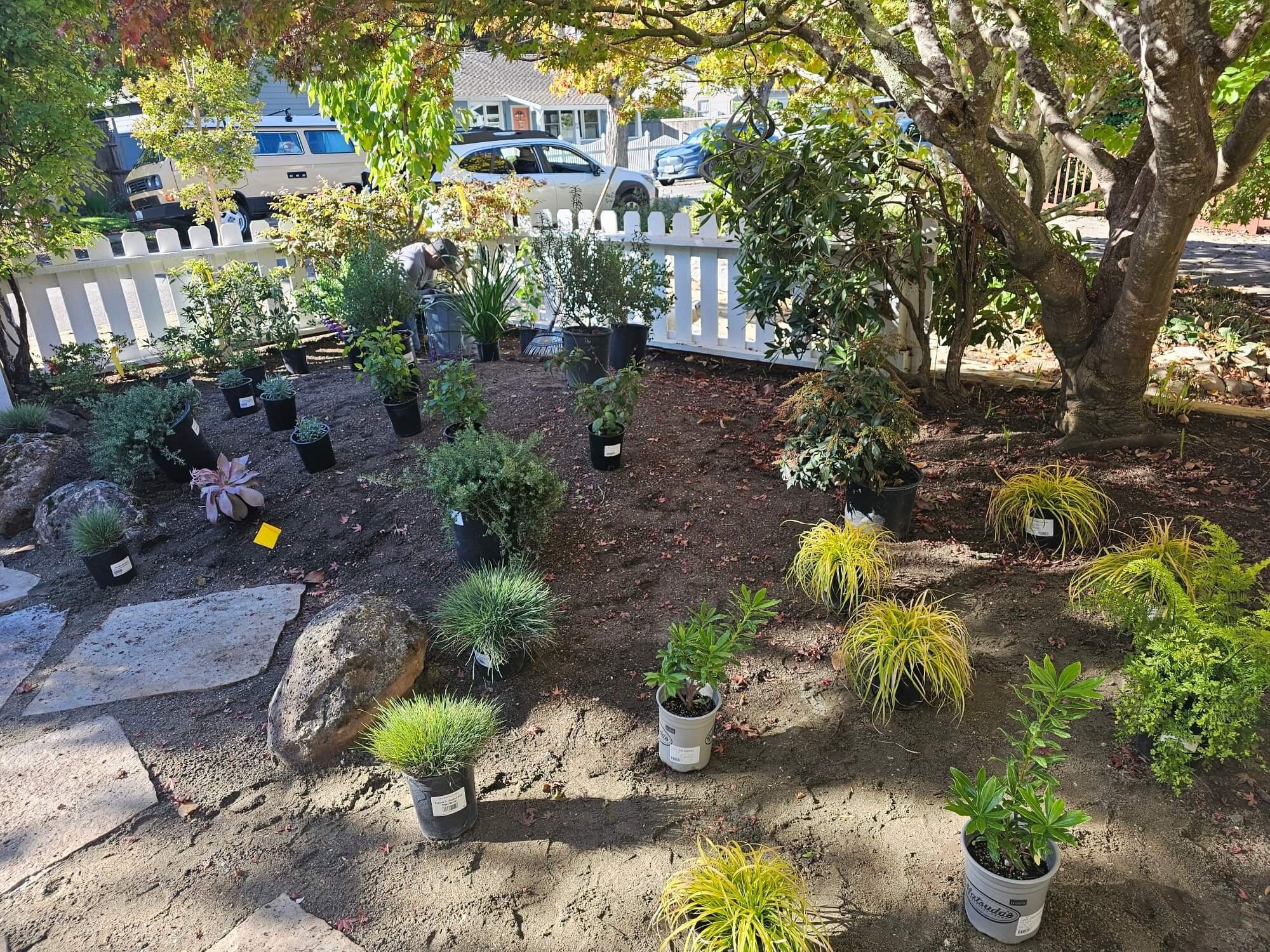 A small garden area with potted plants, trees, and shrubs, separated from the street by a white picket fence. Cars are parked in the background on the street, and a person is tending to the plants.