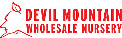 Logo of Devil Mountain Wholesale Nursery featuring a stylized mountain and a leaf.