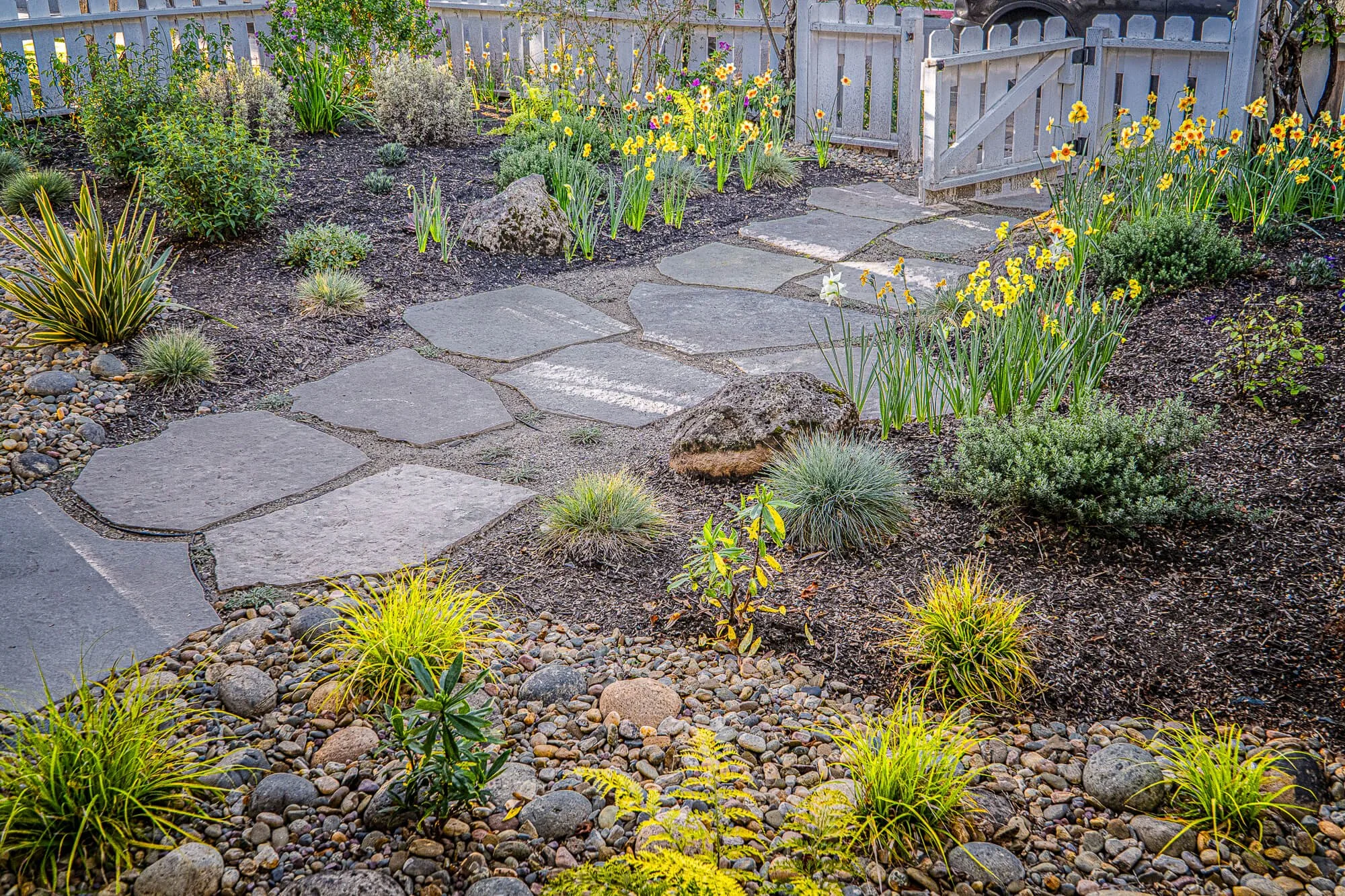A garden with stepping stone pathway, various shrubs, flowers, and rocks, enclosed by a wooden fence with a gate.