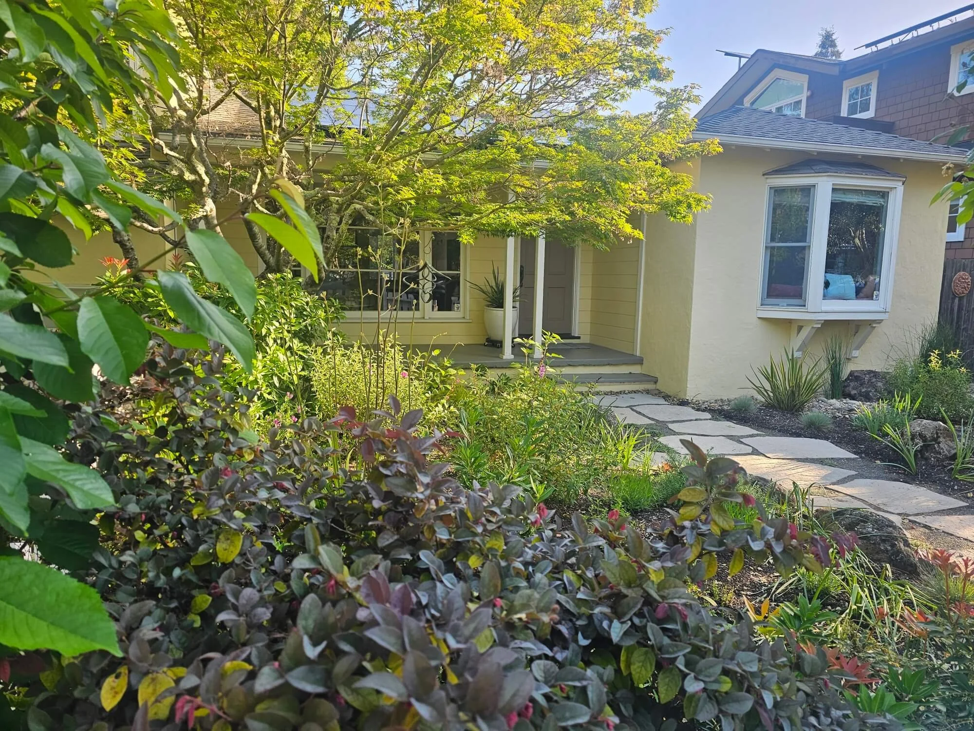 A yellow house with white trim and a round bay window, surrounded by lush green plants and trees, with a stone pathway leading up to the front door.