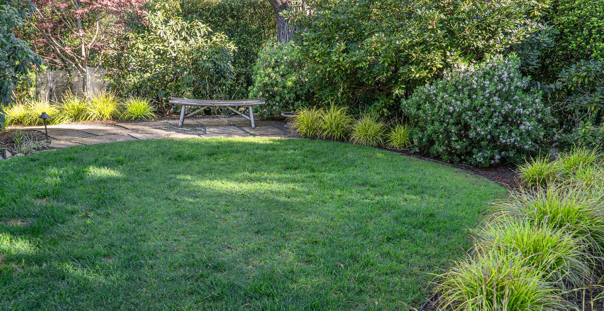 A backyard garden with a grassy lawn, a stone pathway, a wooden bench, and lush green plants and trees.