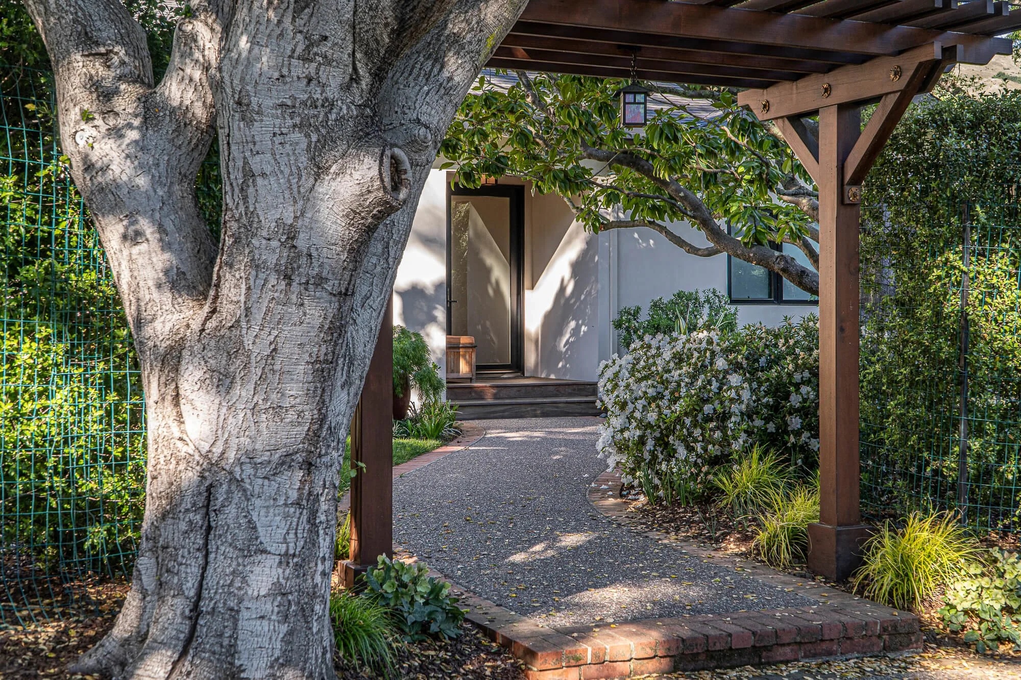 A brick pathway leading to a small porch with a wooden pergola, surrounded by lush green bushes and blooming white flowers, with a large tree in the foreground.