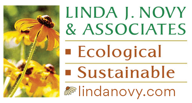 Linda J Novy &amp; Associates
