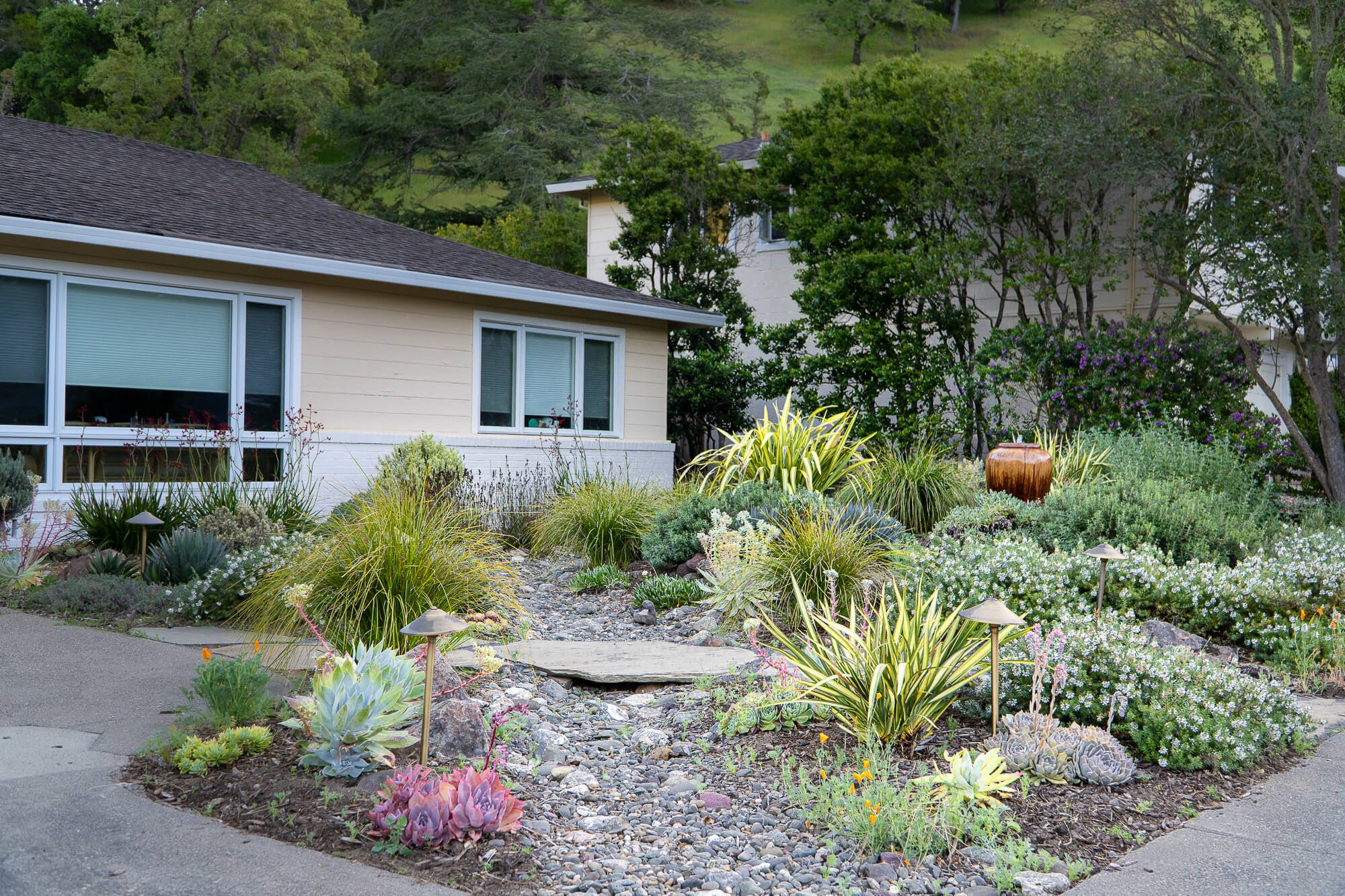 A well-maintained front yard garden with various succulents, flowering plants, and drought-tolerant plants, accompanied by pathway lights, with a house and lush green trees on a hillside in the background.