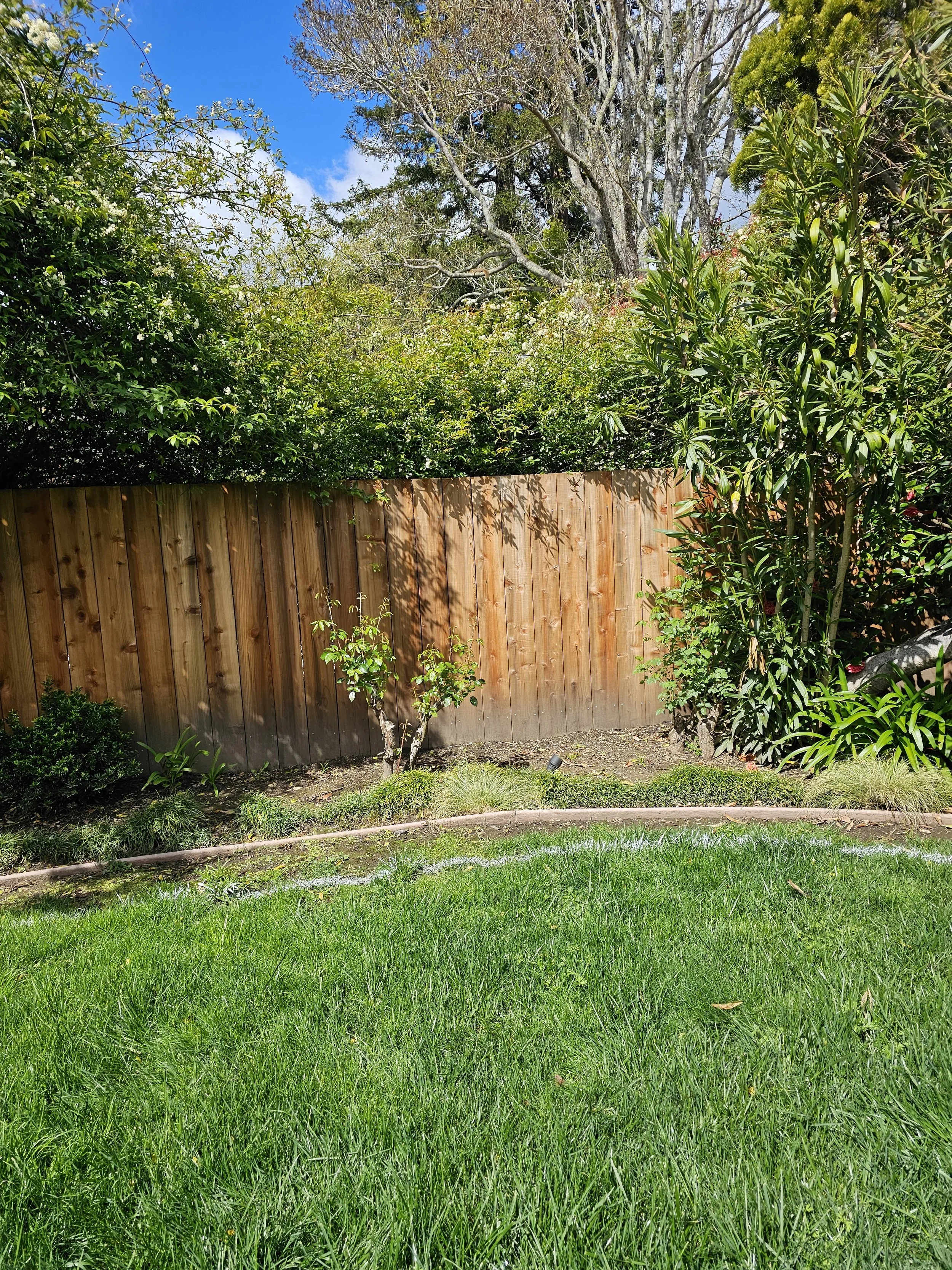 A backyard with lush green grass, a variety of bushes and trees, a wooden fence, and a partly cloudy sky.