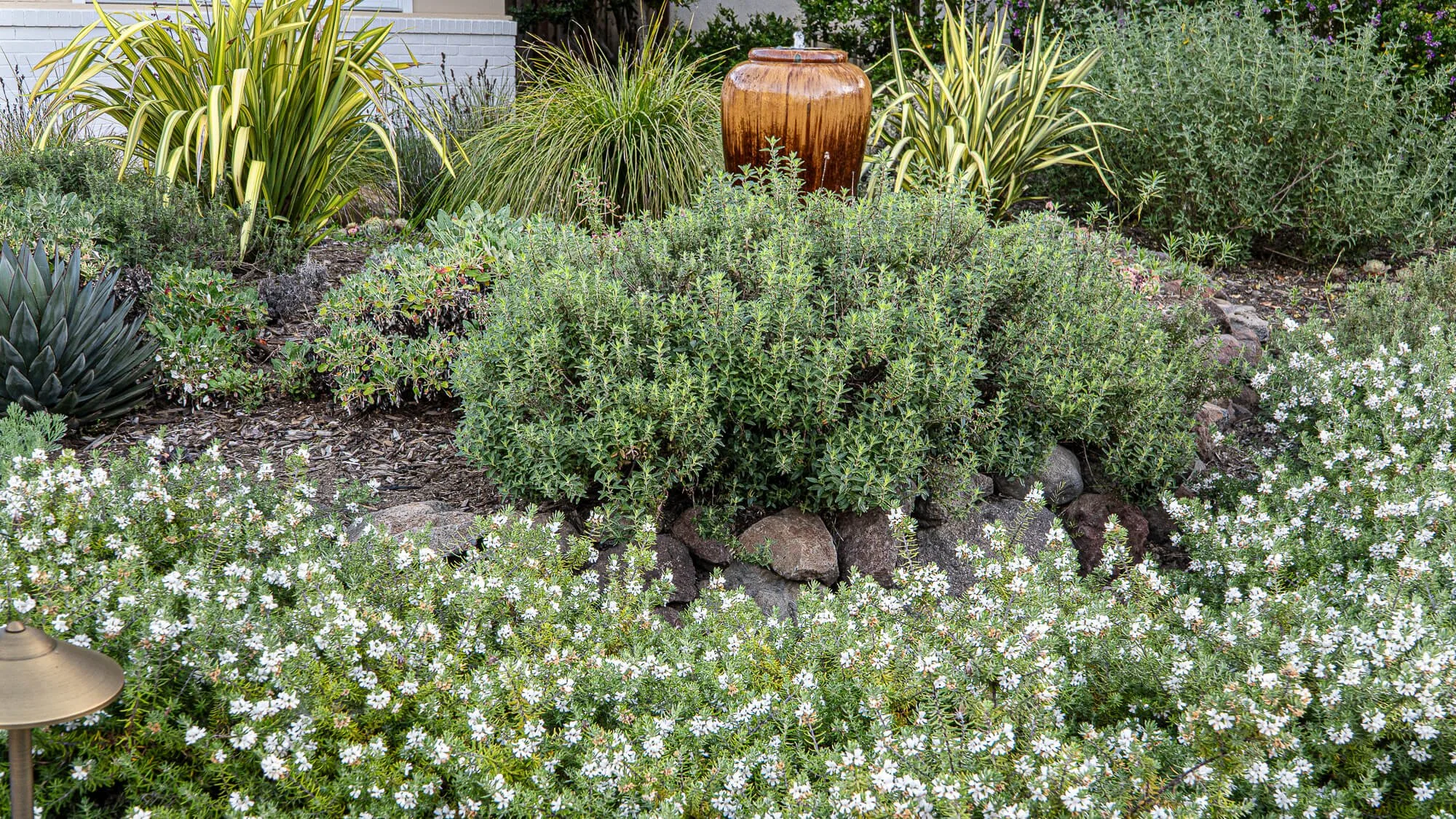 A landscaped garden with various green shrubs, purple flowering plants, and small white flowers. There is a brown ceramic garden fountain on a bed of rocks, surrounded by tall grass and other plants. Part of a house wall is visible in the background.