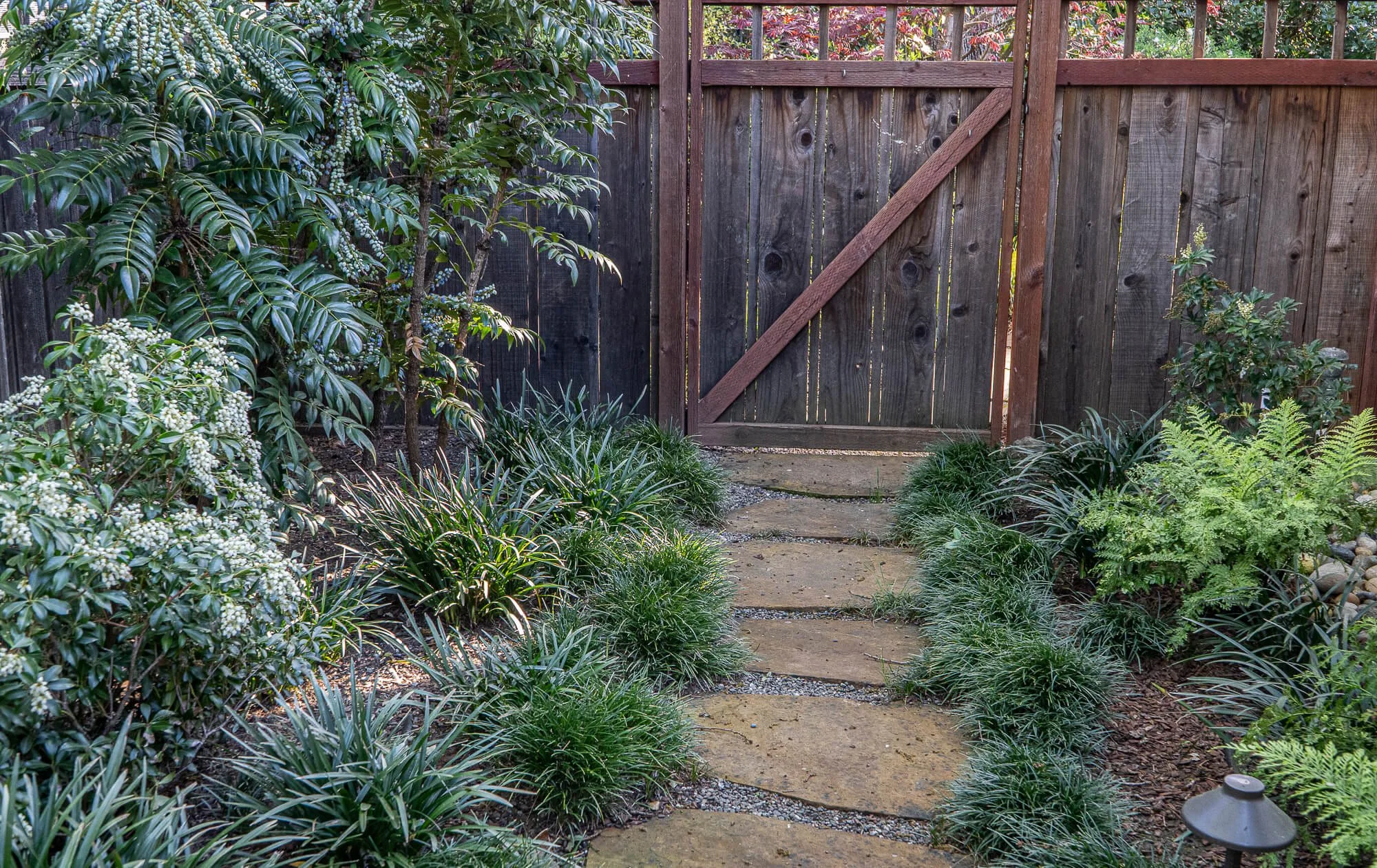 A backyard garden pathway made of large flat stones bordered by grass and various green plants, leading up to a wooden fence with a gate, and a garden lamp on the ground.