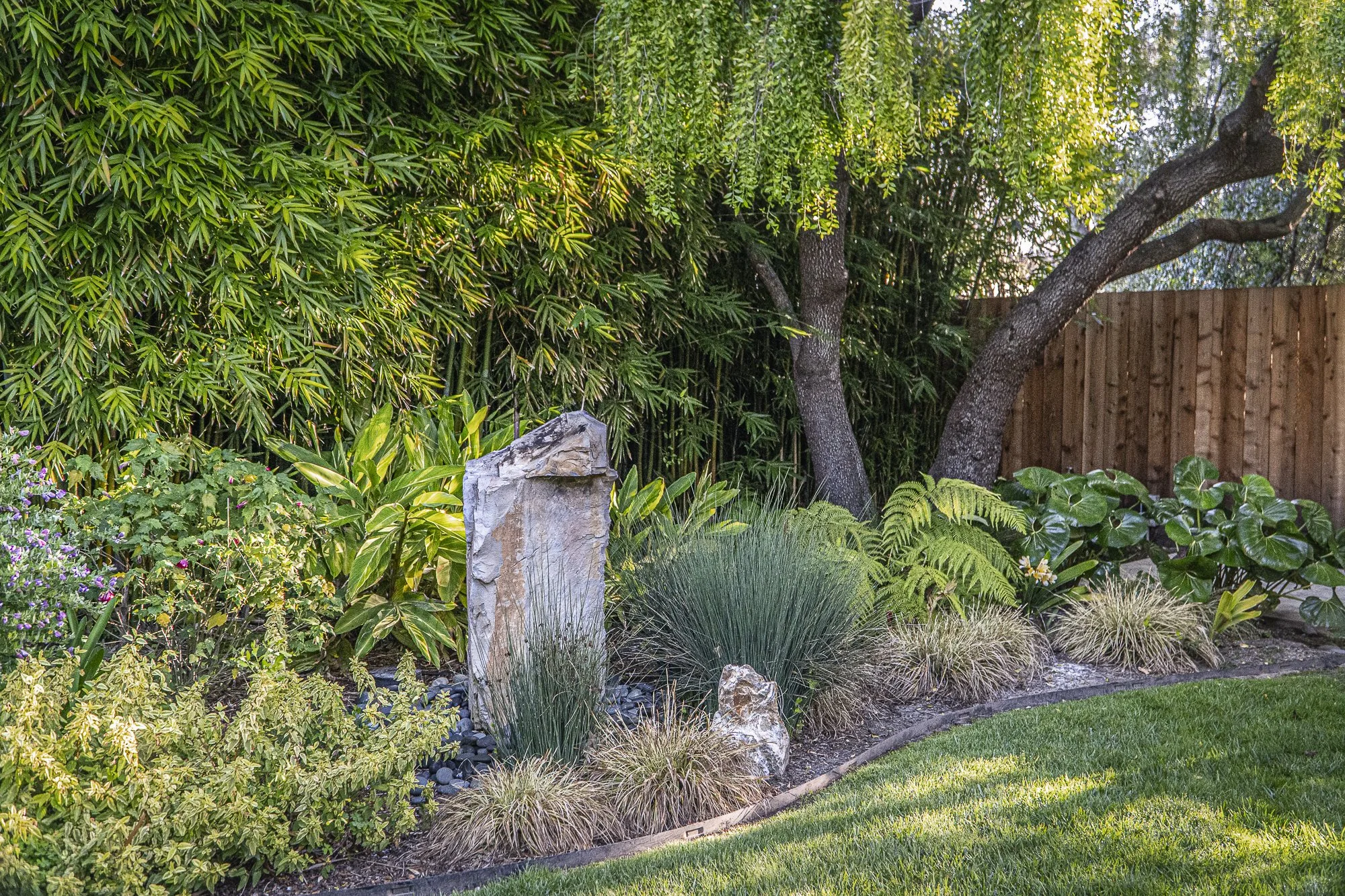 A lush backyard garden with various green plants and trees, a stone decoration, and a wooden fence in the background.