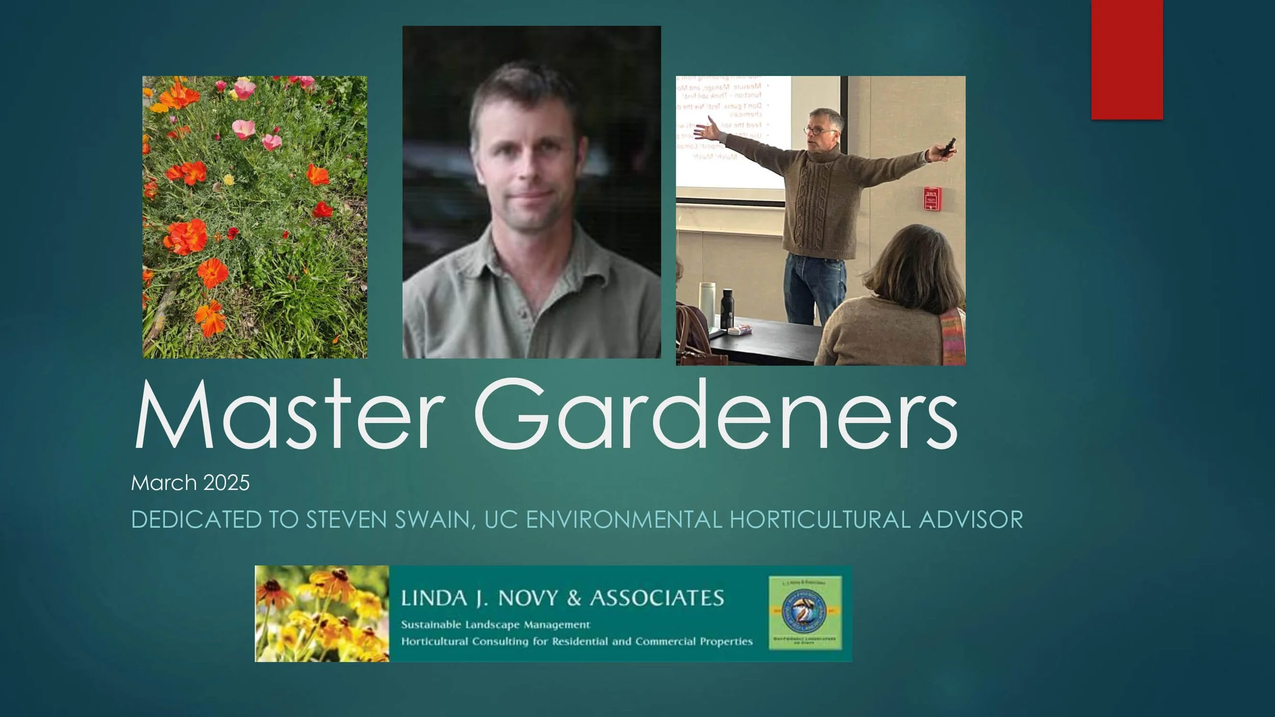 Slide presentation titled "Master Gardeners" with three photographs: a garden of colorful flowers, a portrait of a man, and a man giving a lecture in a classroom. The slide includes text indicating the presentation is dedicated to Steven Swain, UC Environmental Horticultural Advisor, and is associated with Linda J. Novy & Associates.