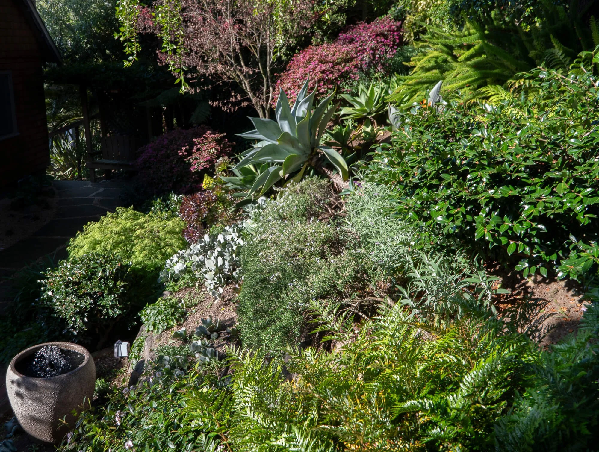 Lush garden with various green shrubs, flowering plants, and succulents, including a large pointed succulent in the center, and a small water fountain in a ceramic pot on the left.