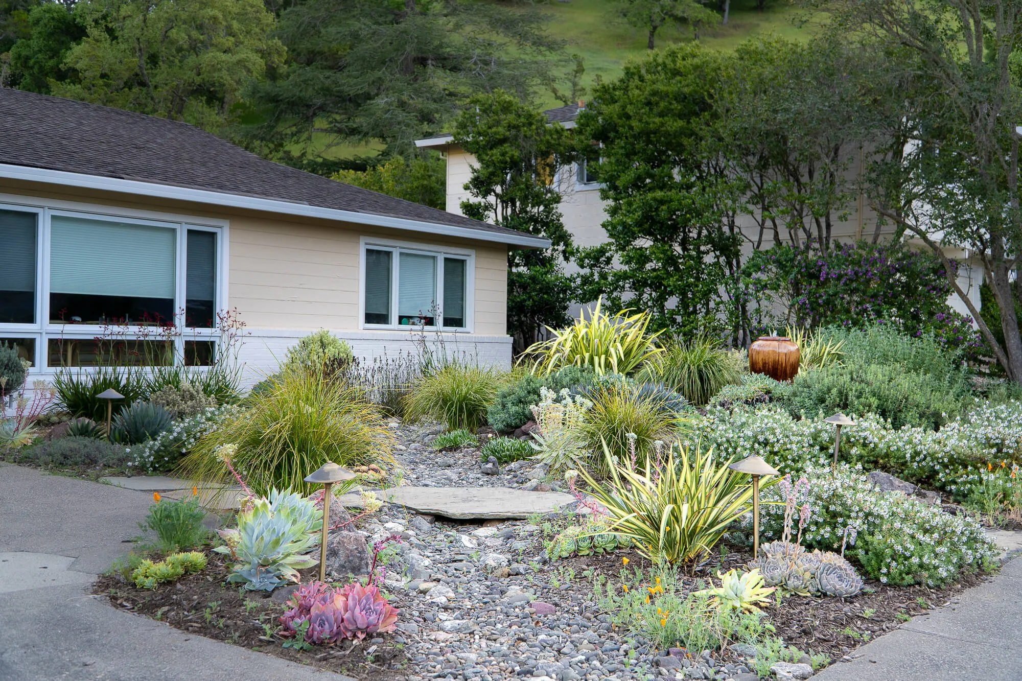 A well-maintained garden with a variety of plants, succulents, and small shrubs in front of a house with large windows, neighboring house, and a hilly, wooded background.