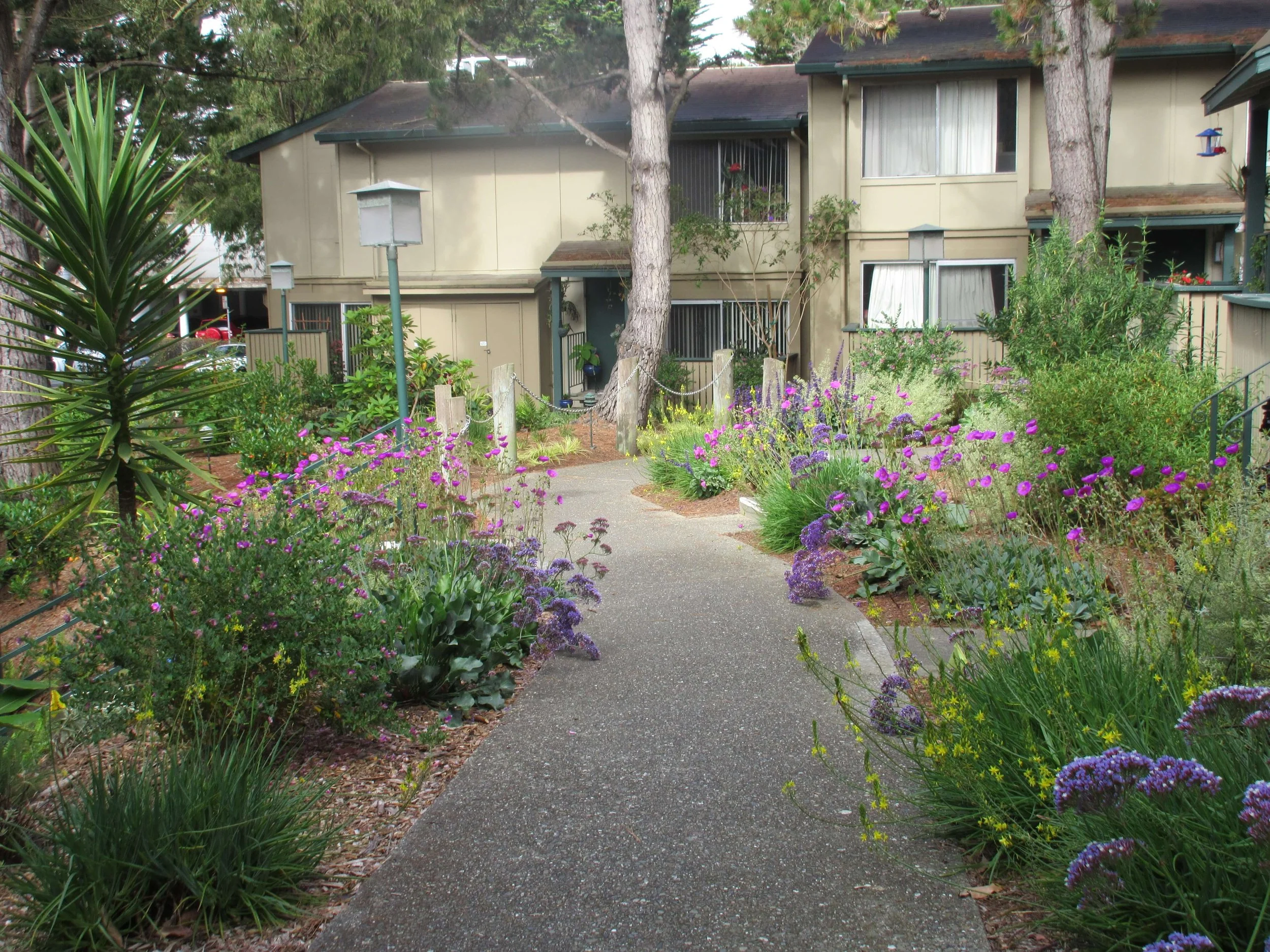 A garden path leading to beige residential buildings with multiple windows, surrounded by lush greenery and various colorful flowering plants.