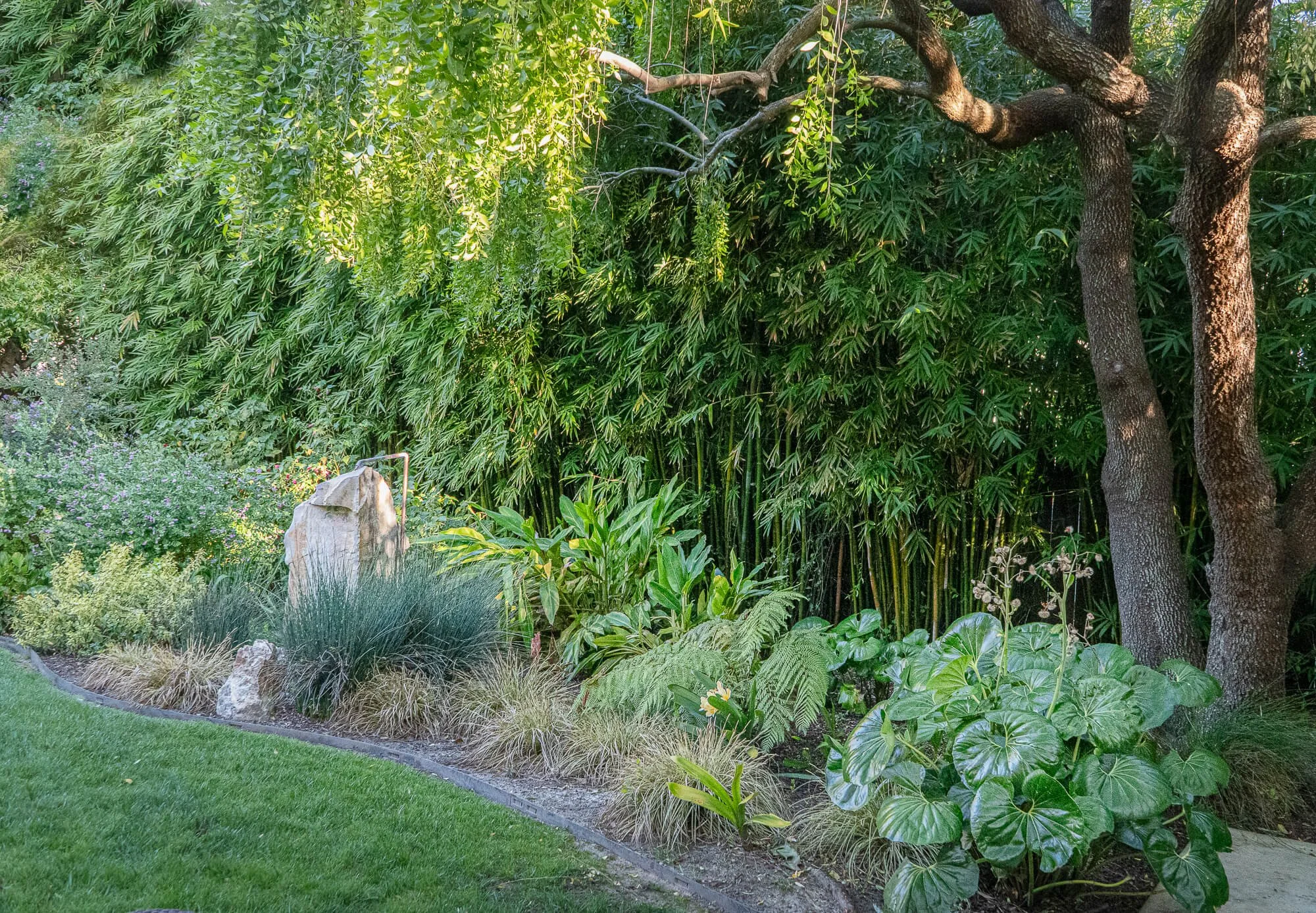 A lush garden with green grass, various shrubs and plants, including large-leafed plants and tall grasses, alongside tree trunks and dense bamboo in the background, illuminated by sunlight.