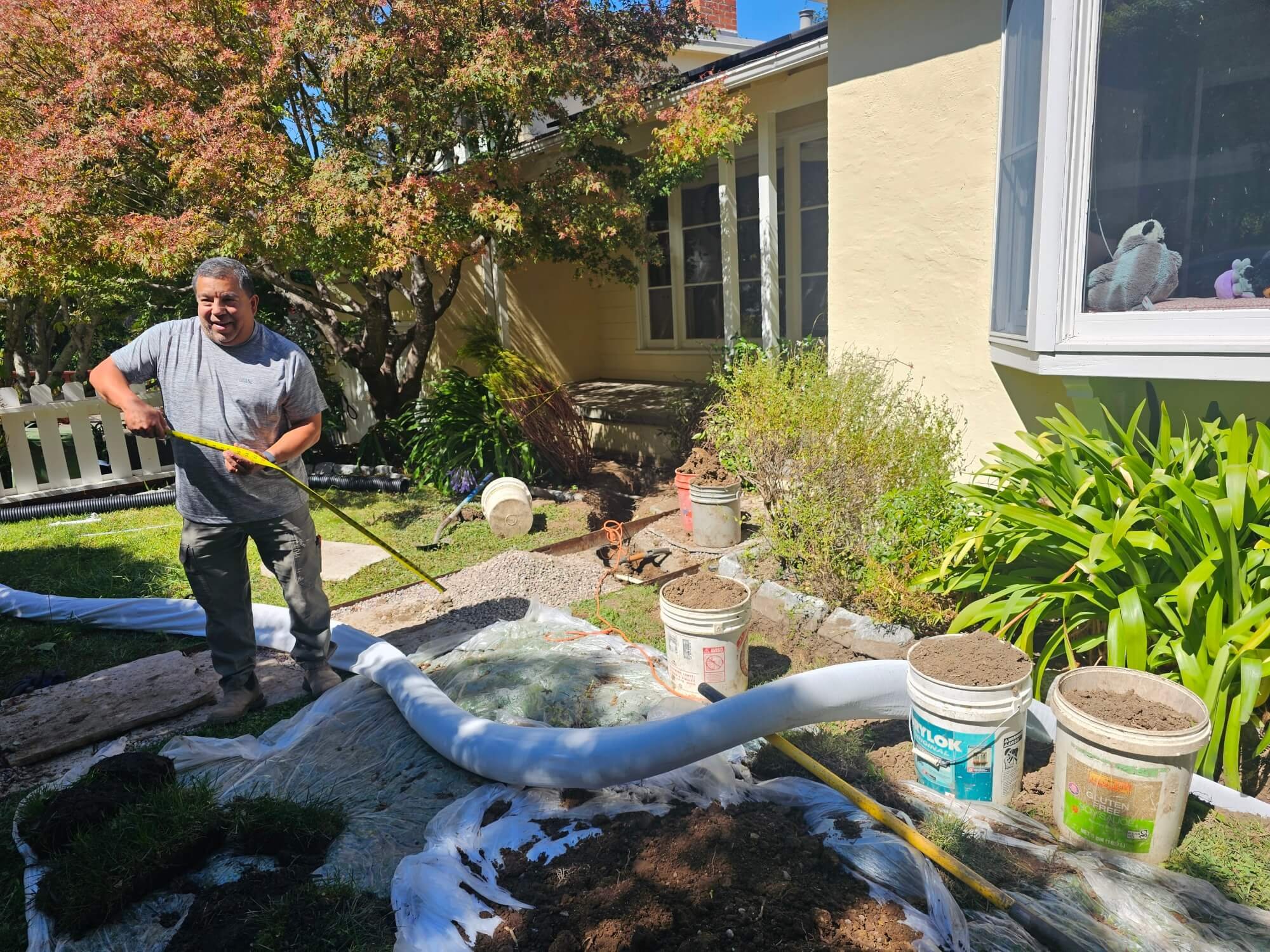 A man is gardening in a backyard on a sunny day. He is holding a yellow garden tool and wearing a gray T-shirt and dark pants. There are multiple buckets with soil and a piece of white plastic sheeting on the ground. The backyard has green grass, plants, trees with red leaves, a white fence, and a house with beige walls and large windows.