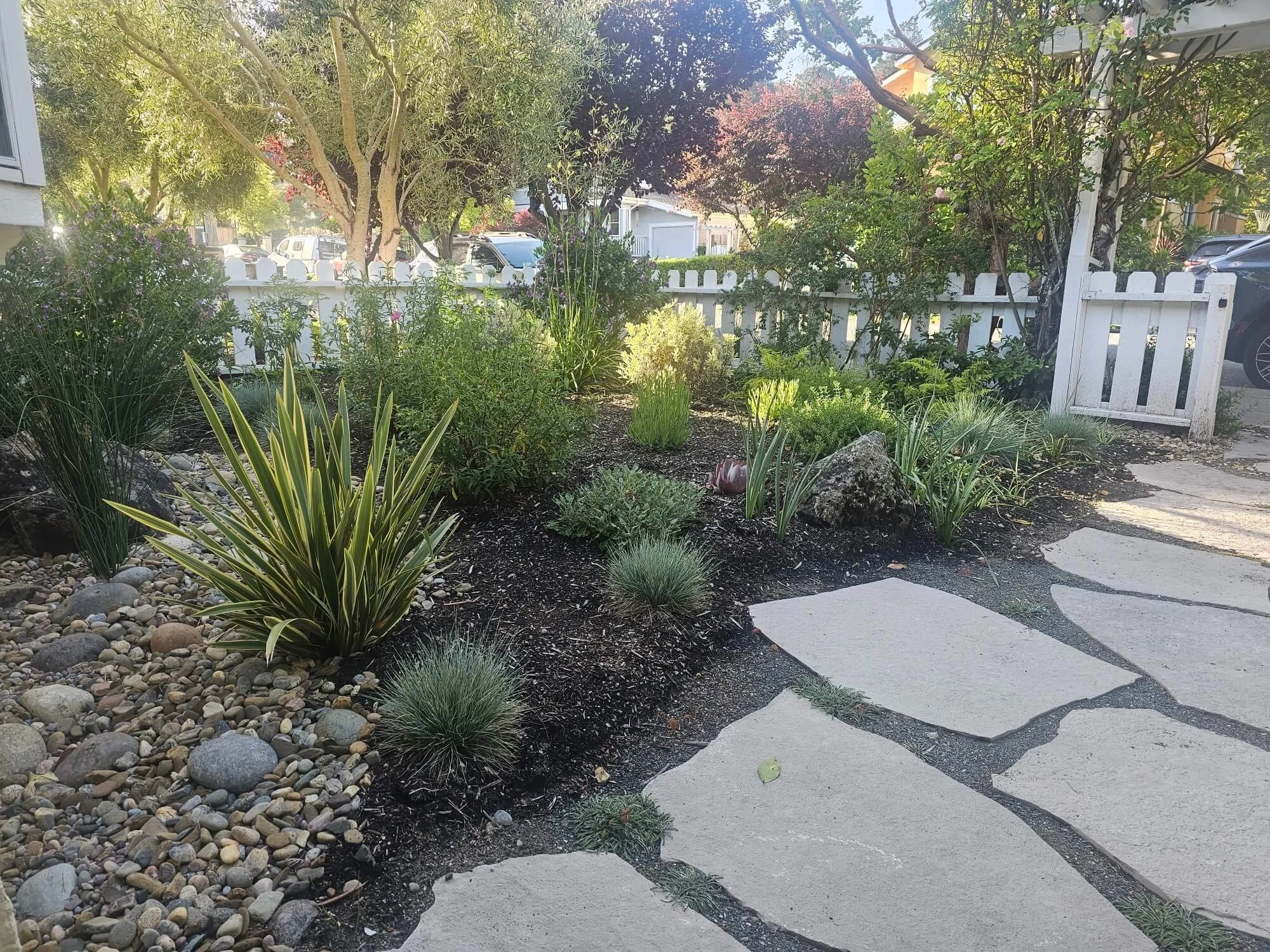 A well-maintained front yard garden with various green plants, small shrubs, and trees, bordered by a white picket fence and a stone pathway.