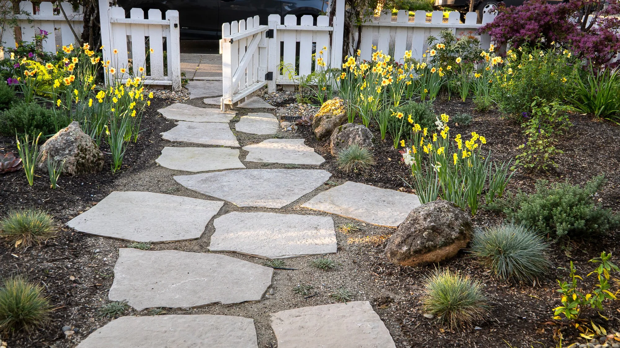 A stepping stone pathway leading to a white picket fence gate surrounded by blooming yellow and purple flowers in a garden.