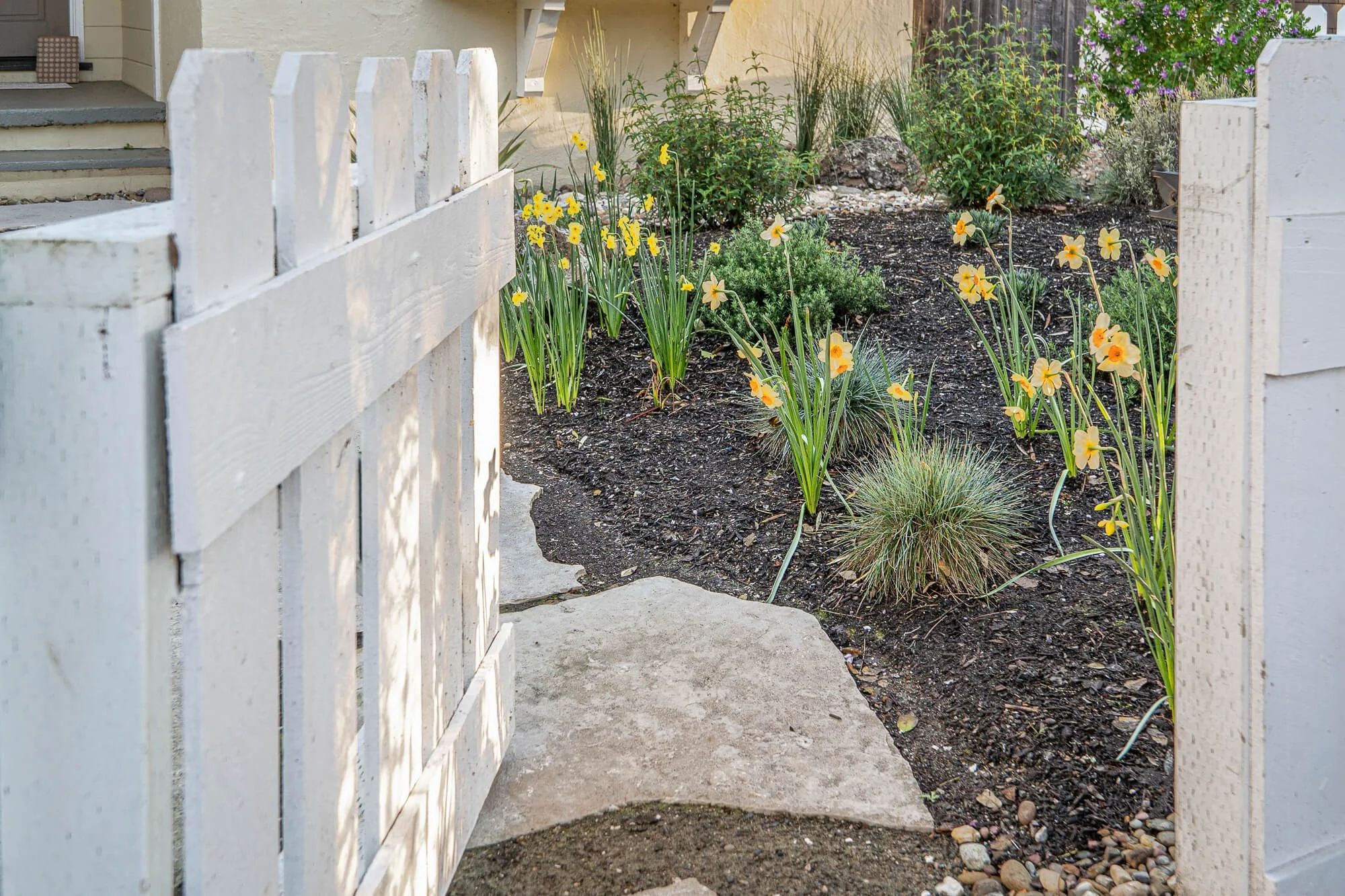A small garden bed with yellow flowers and tall green plants, bordered by a white wooden fence and a white gate, with a stone pathway leading into the garden.