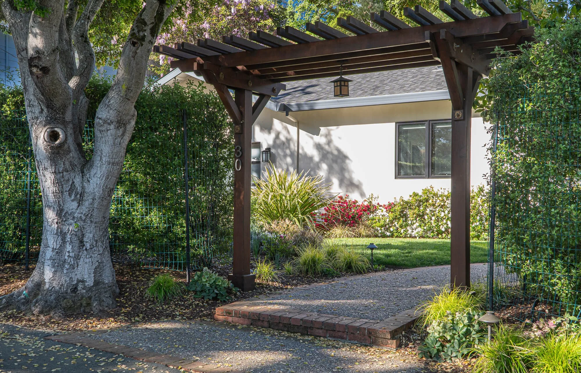 A backyard garden with a large tree on the left, a wooden pergola with hanging lanterns at the center, and a variety of shrubs, flowers, and a small lawn area in the background.