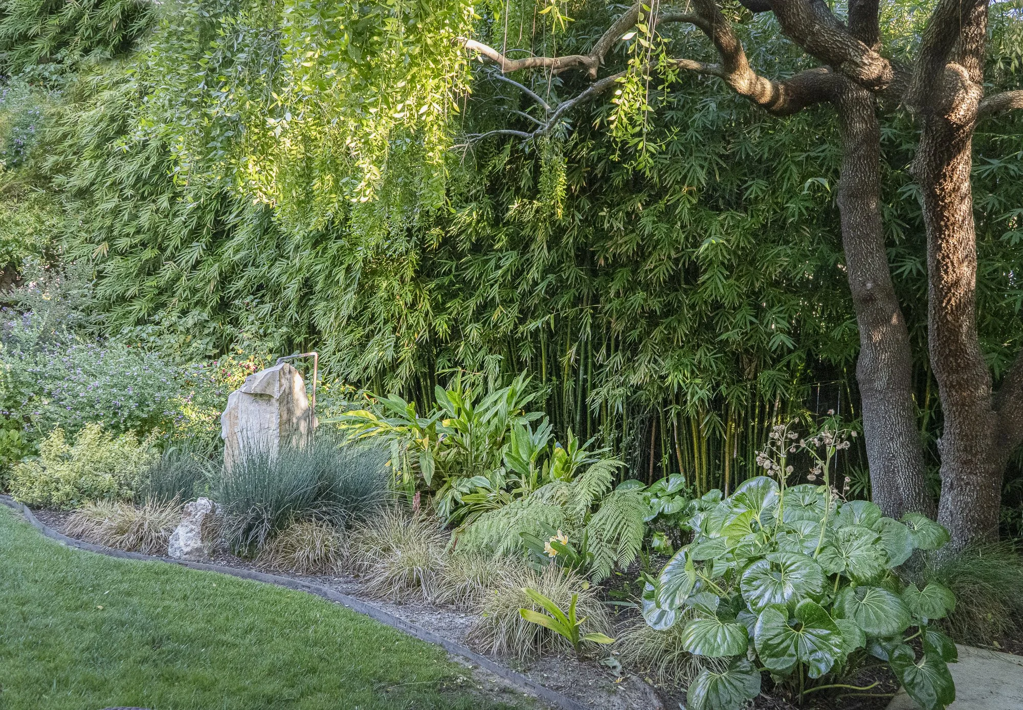 A lush garden with a variety of green plants, trees, and a rock feature, bordered by a well-maintained grass lawn on the left side.