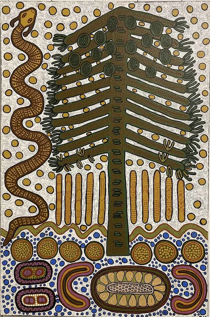 Beyond Bunya Dieback