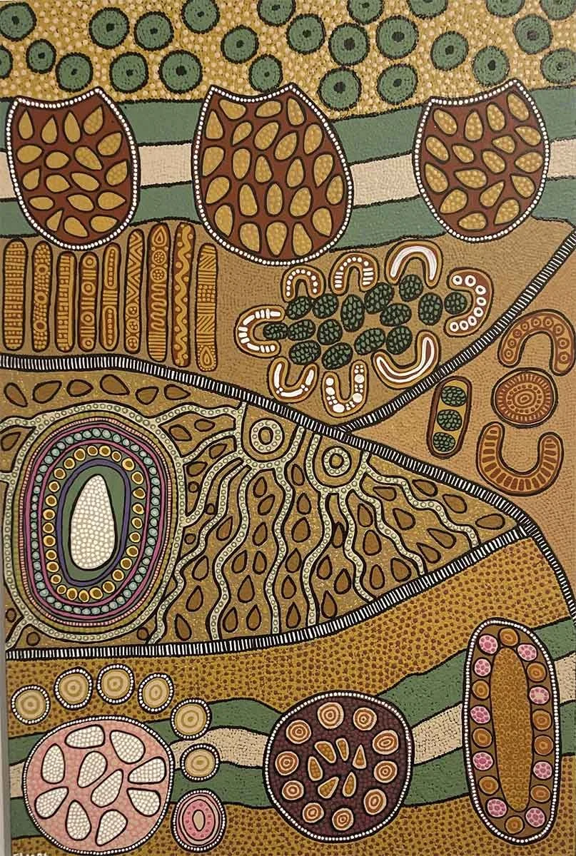 Connected to Bunya Country