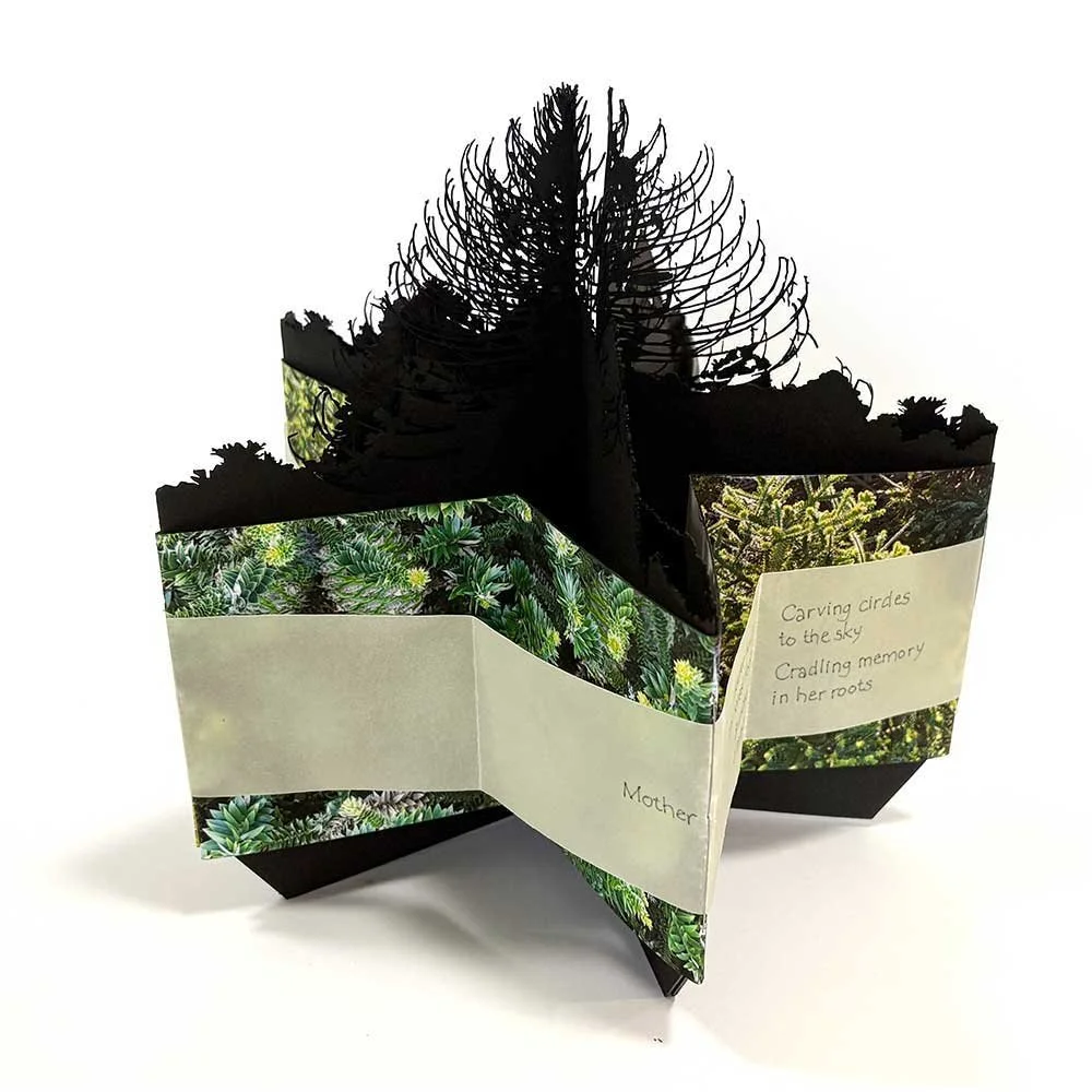 kim-herringe-connected-to-bunya-2026.jpg