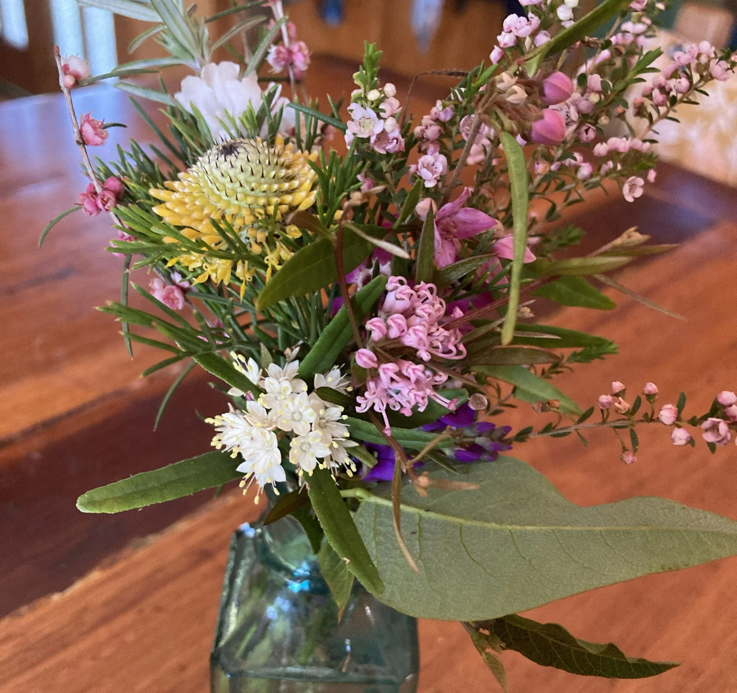 Bloom - a celebration of wildflowers
