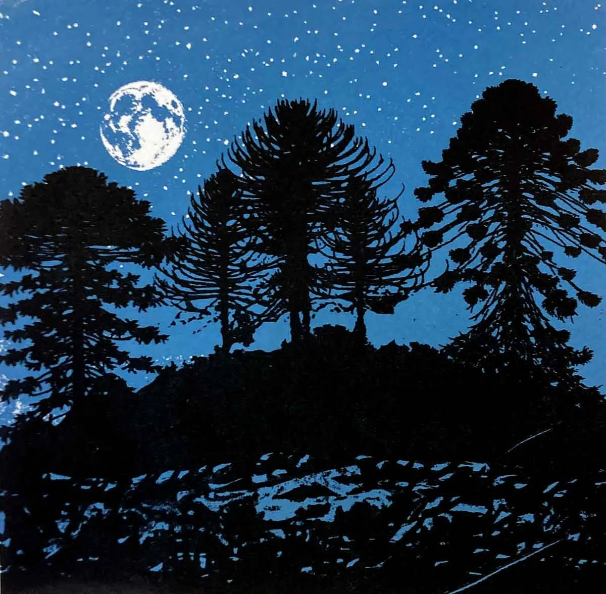 Connected to Bunya Country 2027
