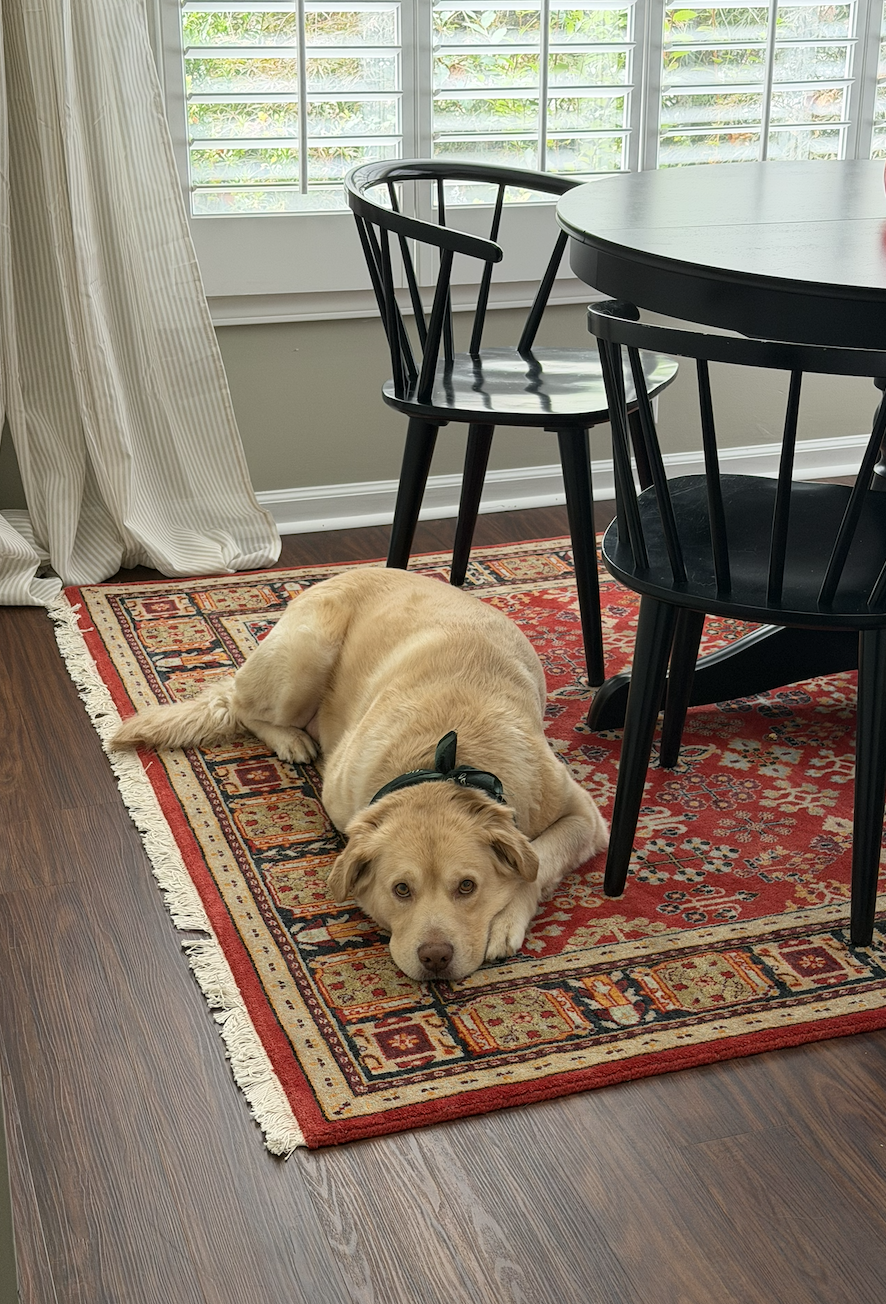 Image 3-26-26 at 11.10 AM.png