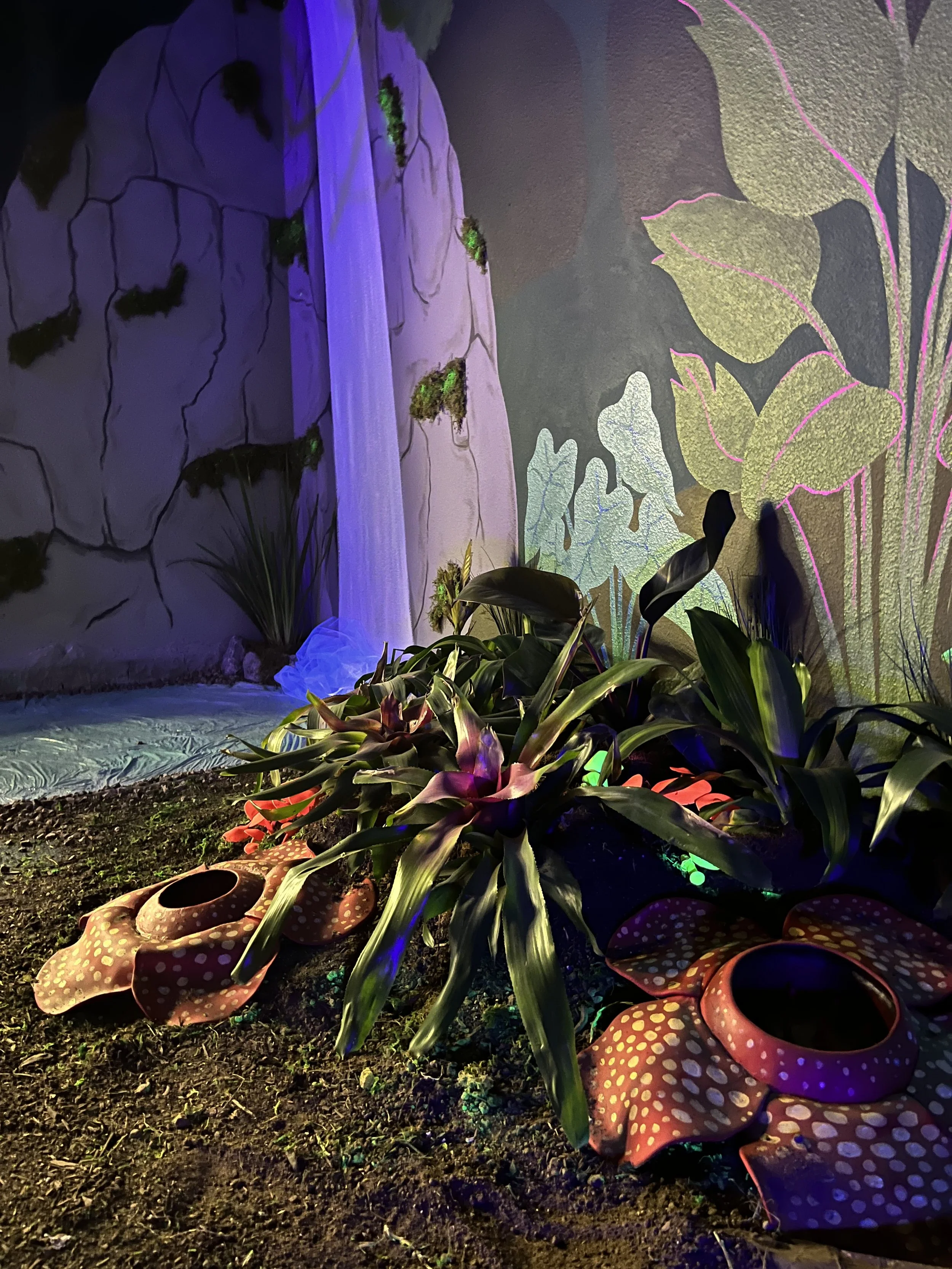 Nature Fix- Uli Smith 2.jpeg