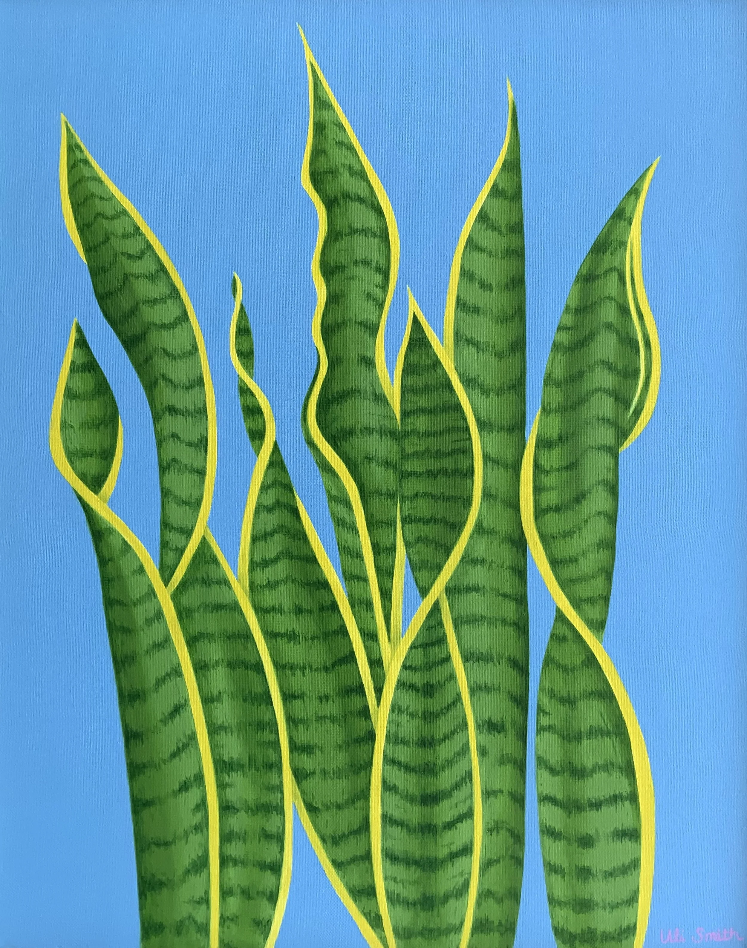 Snake and Sky-Uli Smith-2021.jpeg