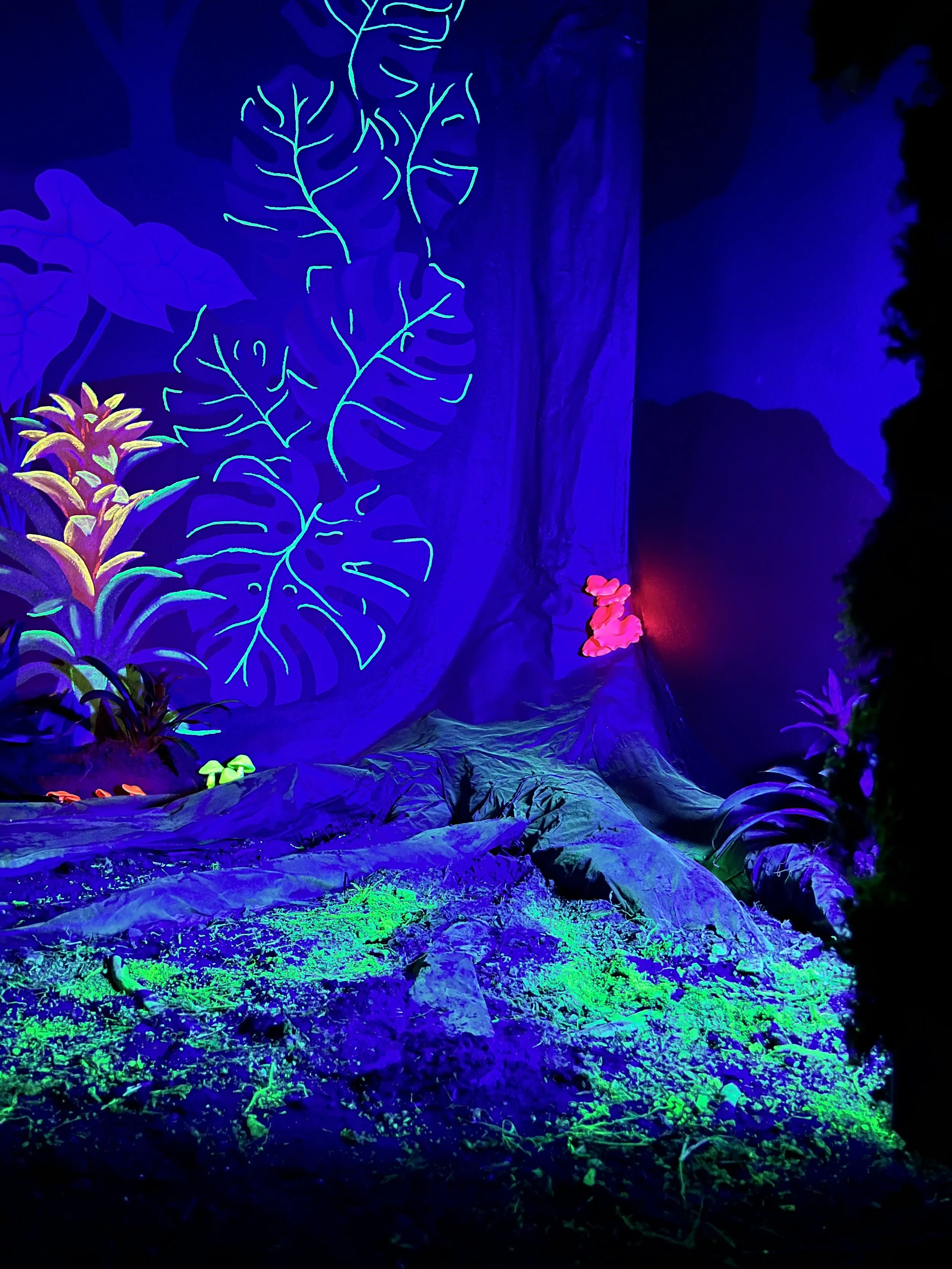 Nature Fix- Uli Smith 3.jpeg