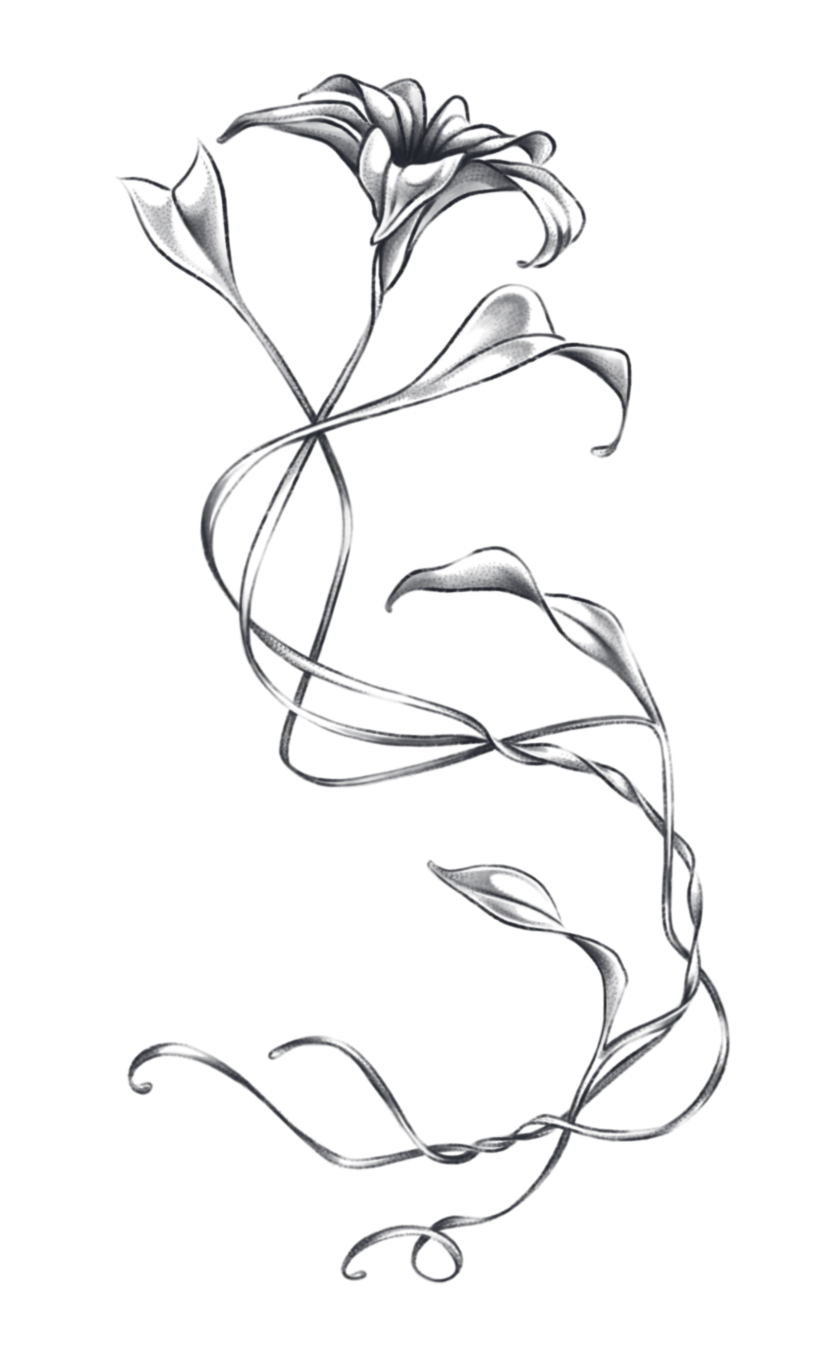 unnamed.png