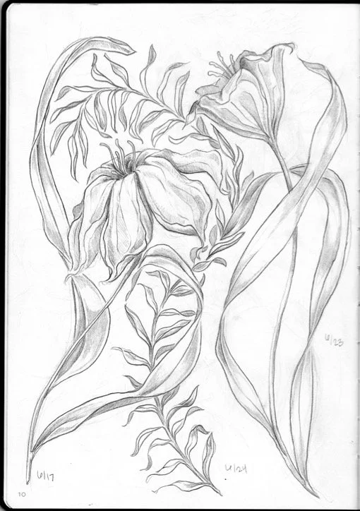 Scan2026-08-27_091914.jpg