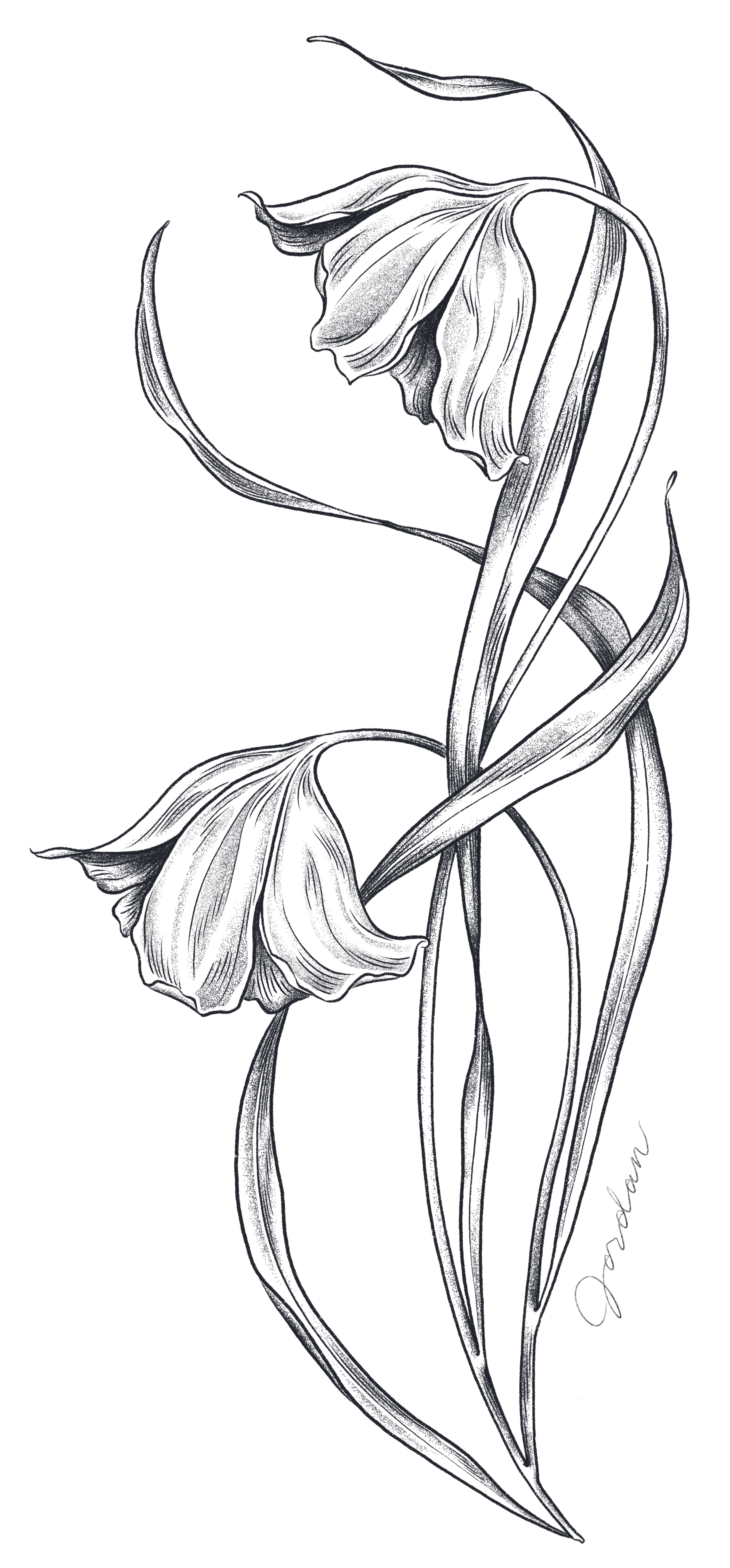 IMG_0830.png