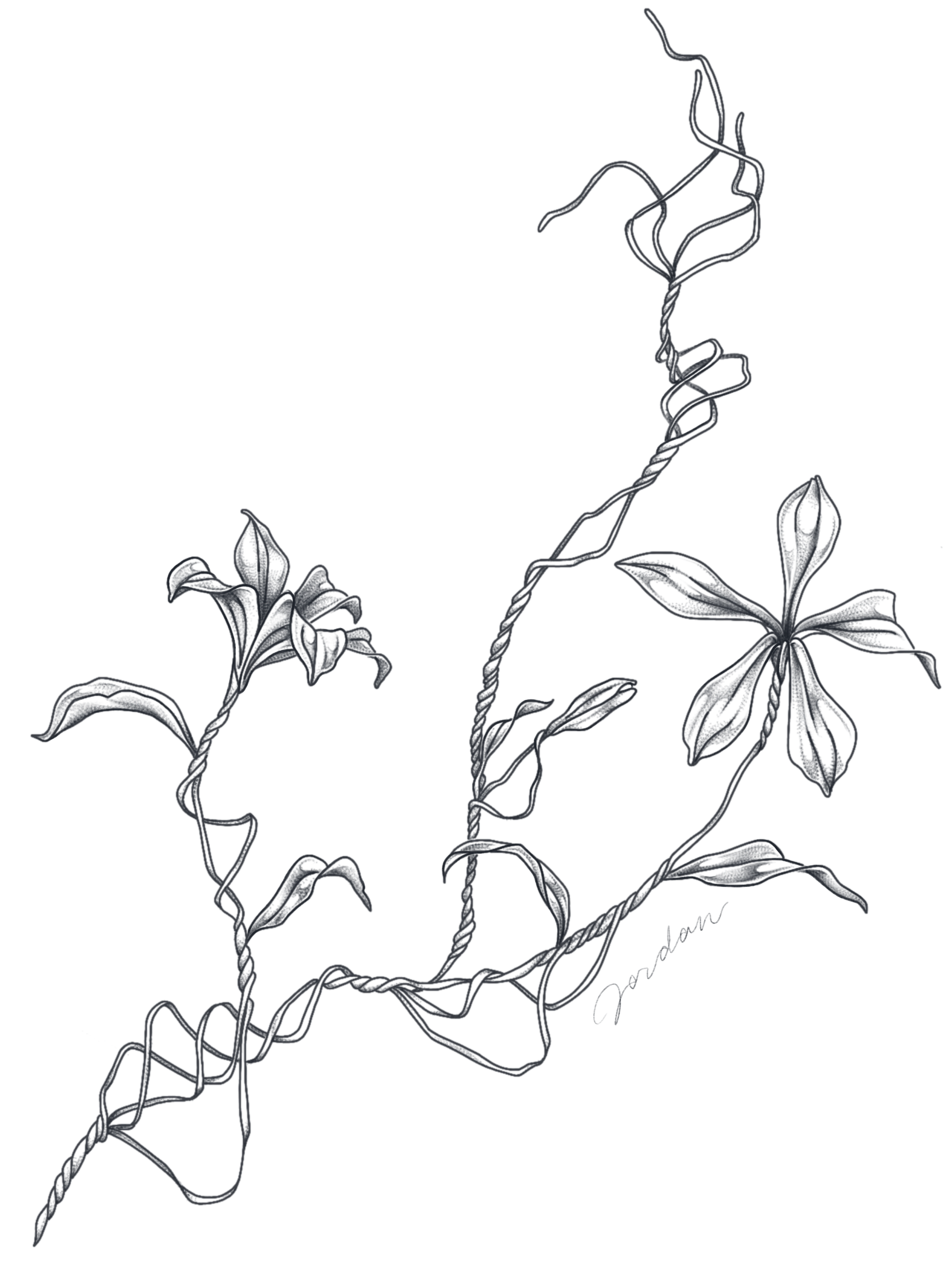 IMG_0831.png