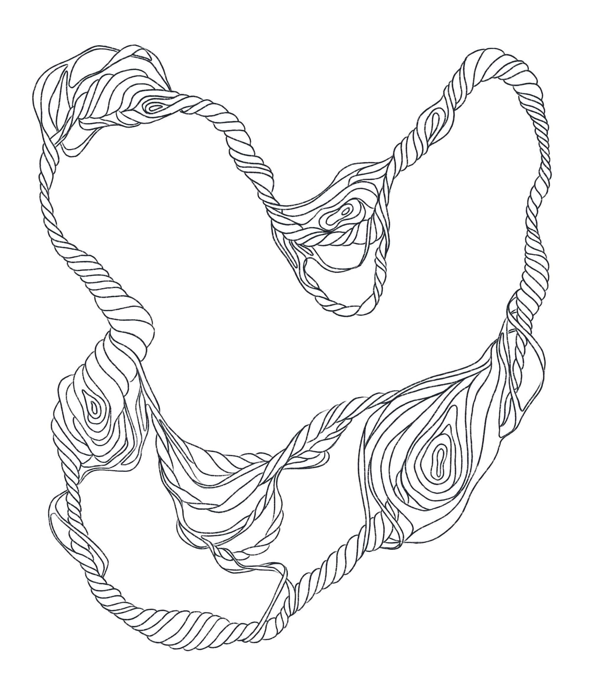 IMG_0829.png