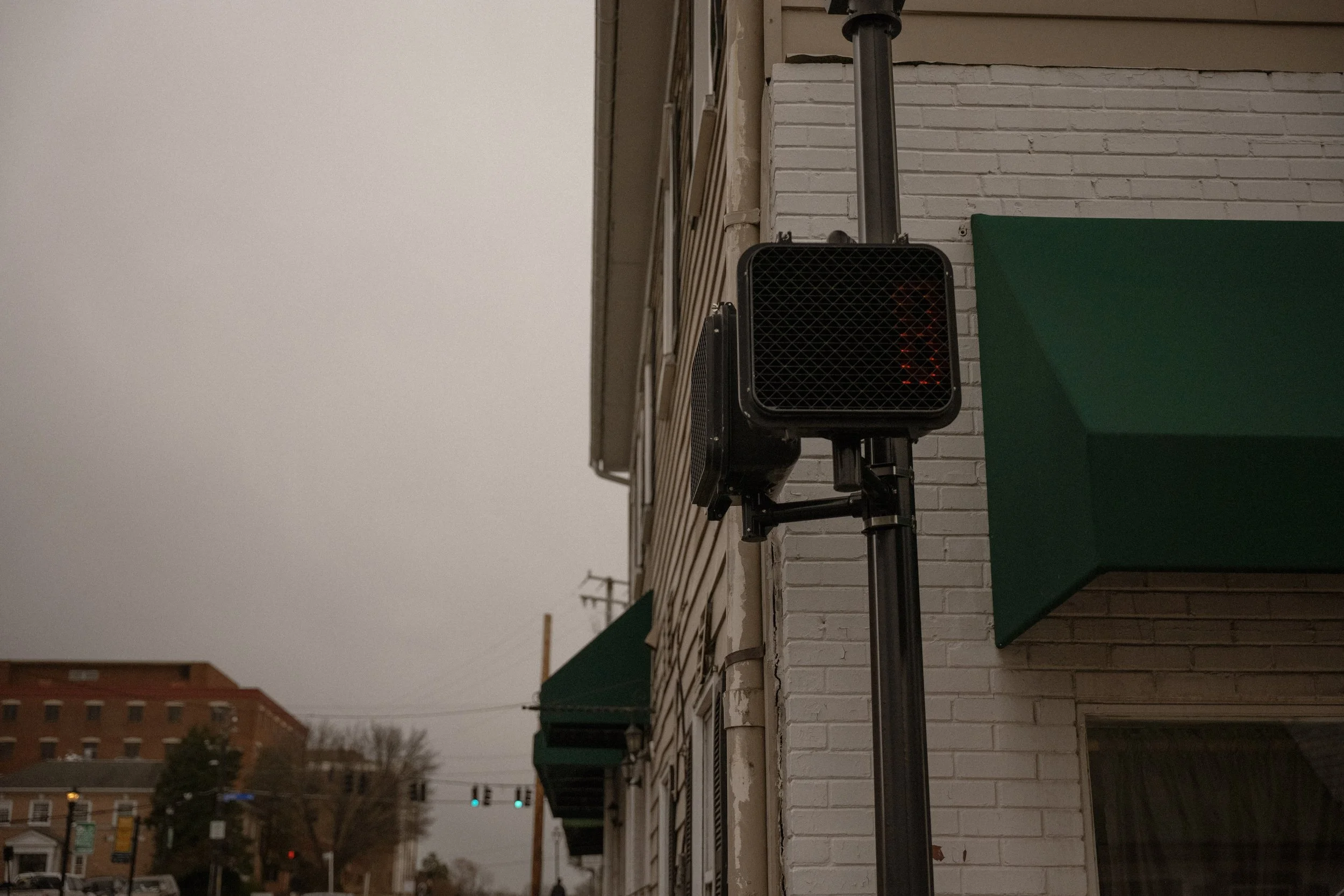 P1018296.jpg