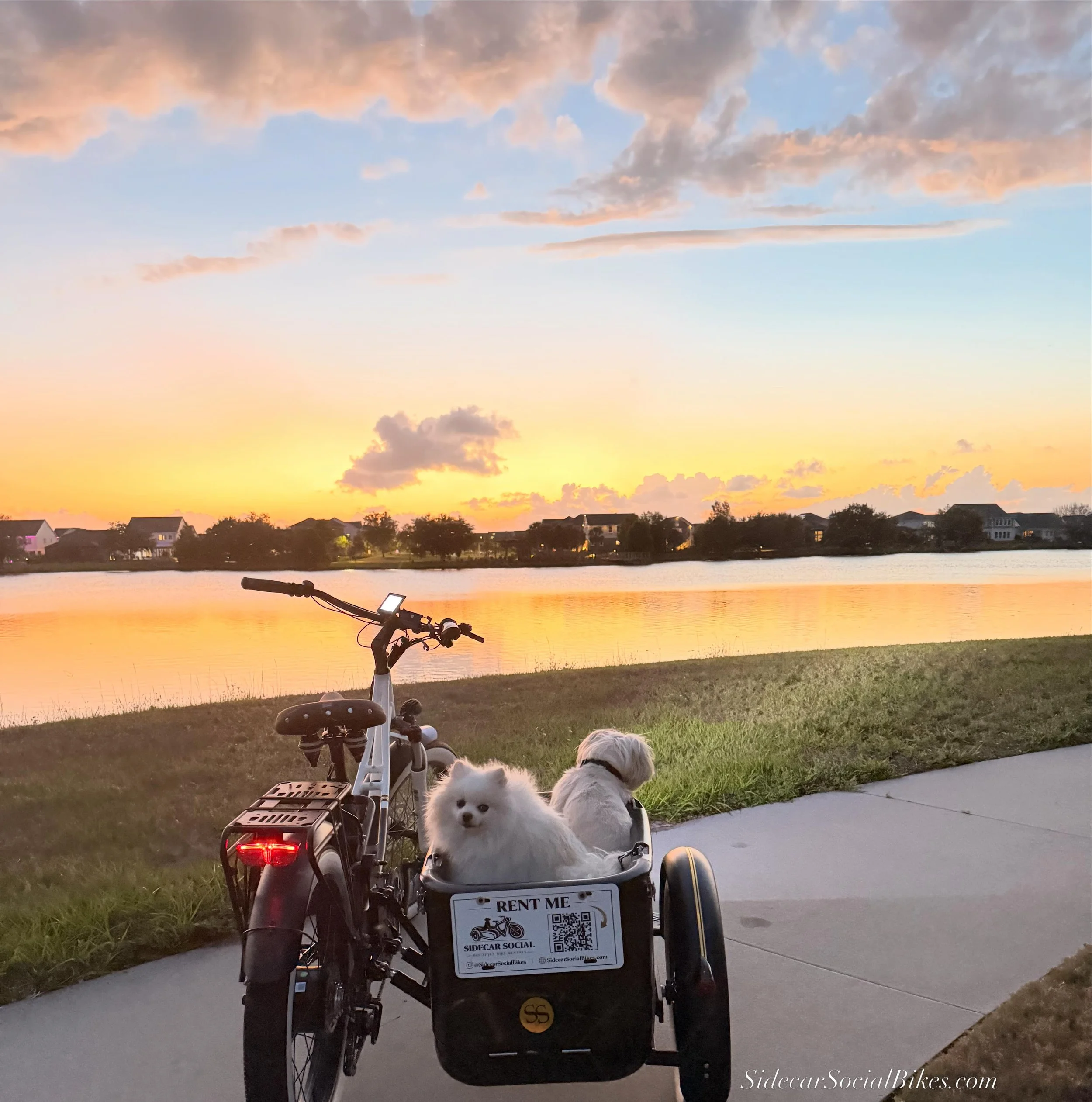Perfect Lake Nona&rsquo;s golden hour. 

#goldenhour #florida_greatshots #zentime