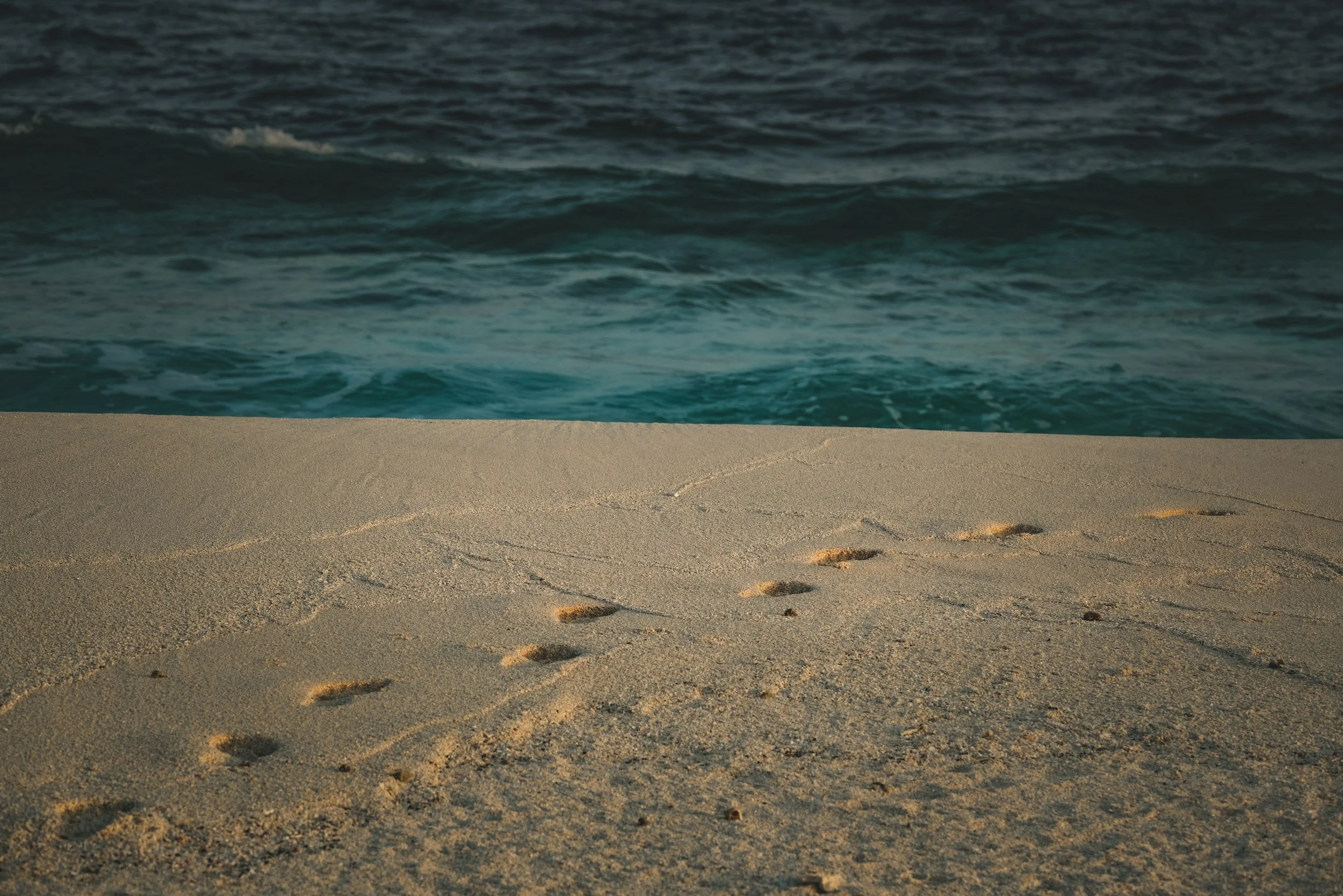 Finding a path to wellbeing through health and wellness coaching