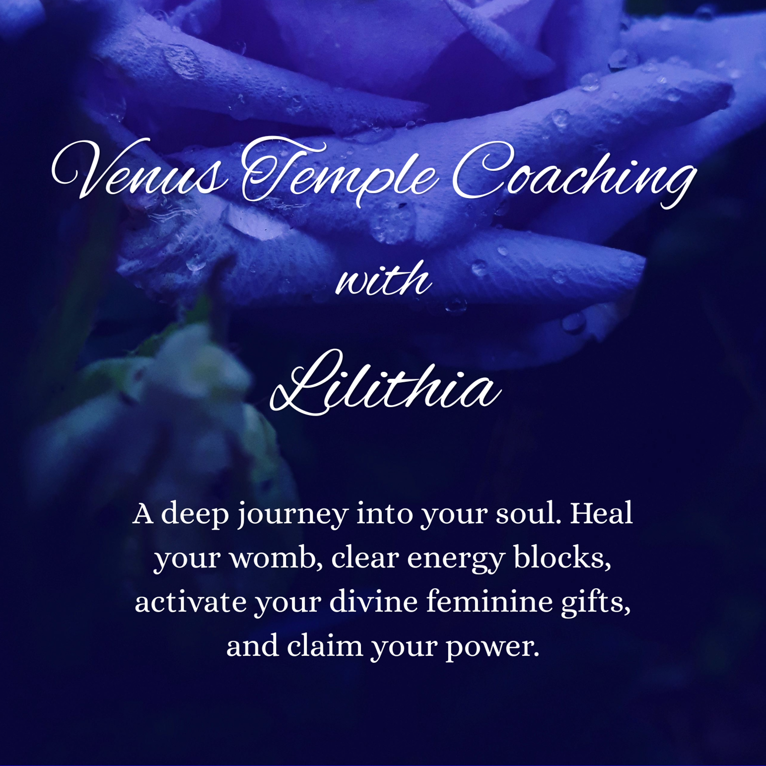 Venusian Temple Coaching (Three Live Video Sessions + Custom Goddess Painting)
