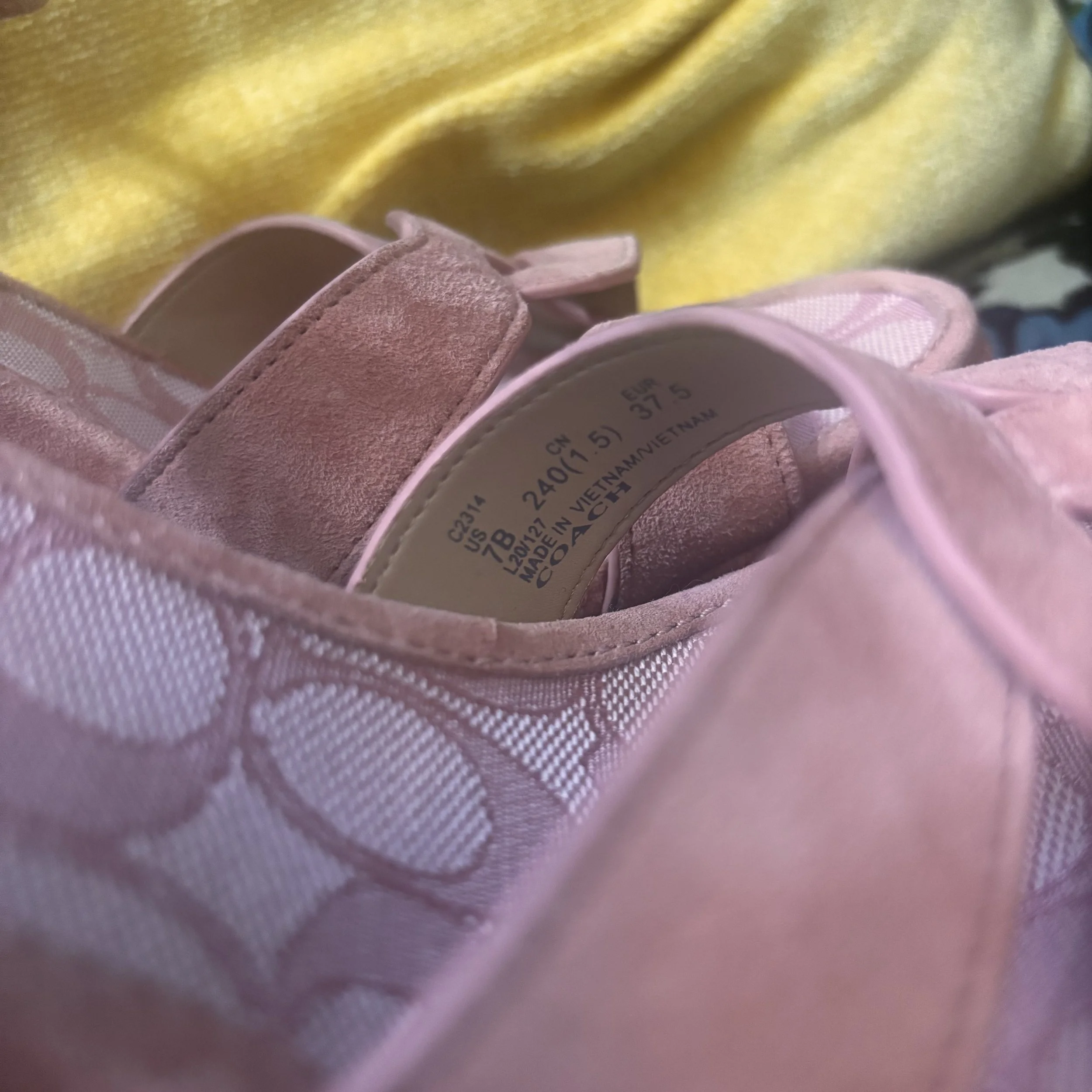 IMG_6640 3.jpeg