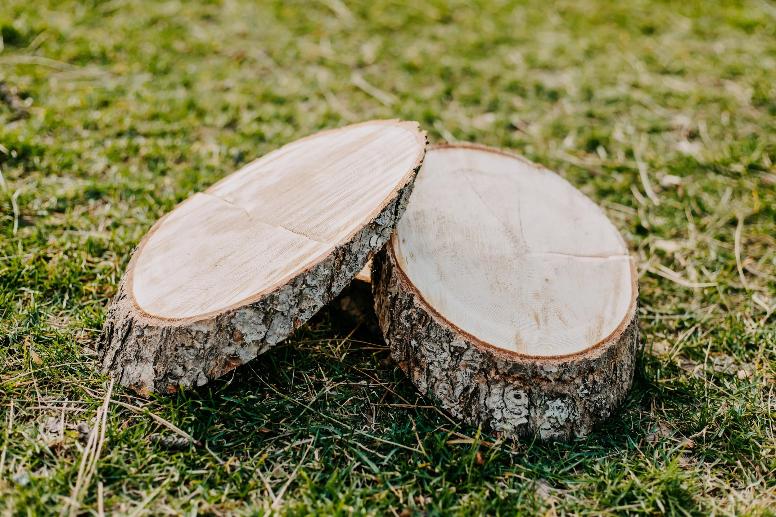 Wood Slice Decor