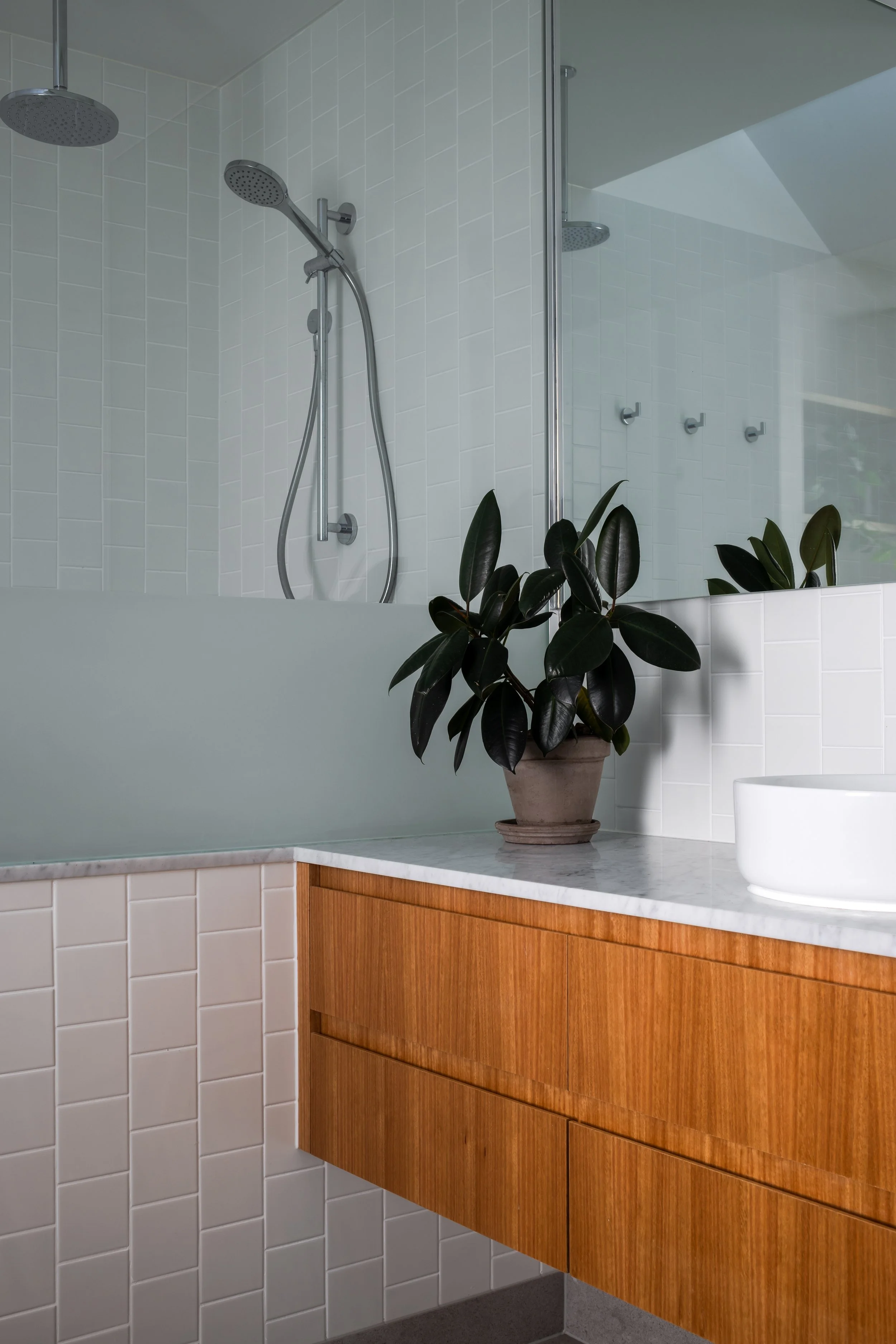 Modern bathroom with a walk-in shower featuring two shower heads and a glass partition. A potted plant on a white marble countertop with wooden cabinetry below.
