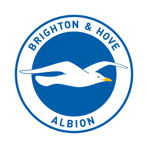 Logo of Brighton & Hove Albion football club featuring a seagull in flight inside a blue circle with the team name.