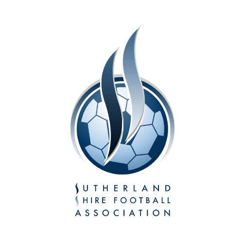 Logo featuring a blue and gray soccer ball with flame-like shapes and text beneath it.