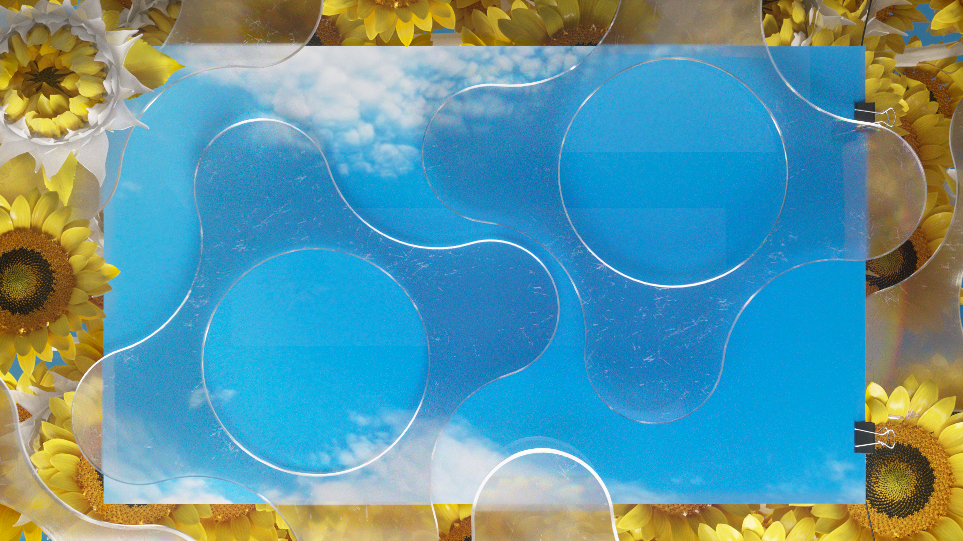 A clear plastic sheet with circular cutouts is laid over a background of bright yellow sunflowers and a blue sky with white clouds.