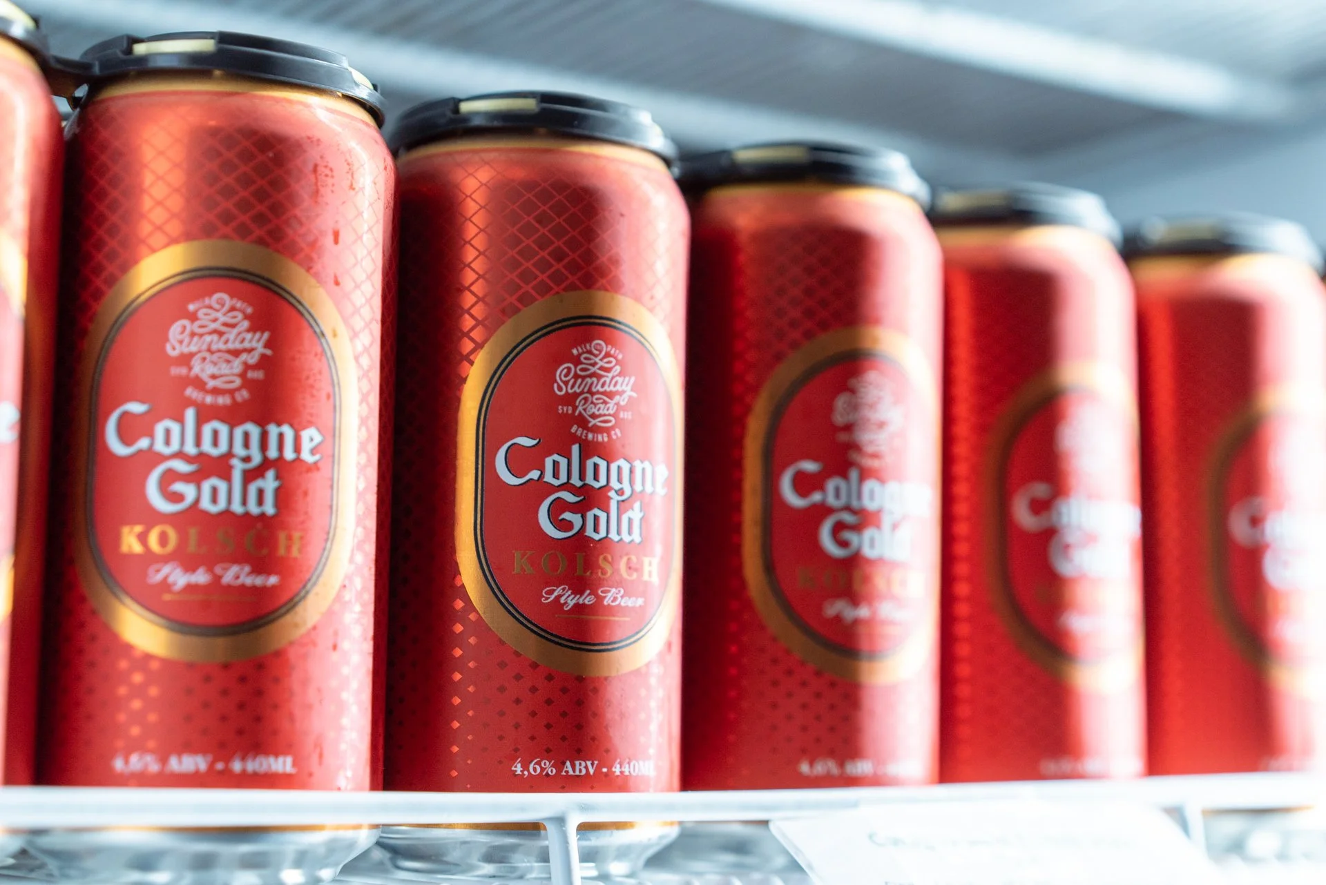 Red cans of Cologne Gold Kölsch style beer on a store shelf.
