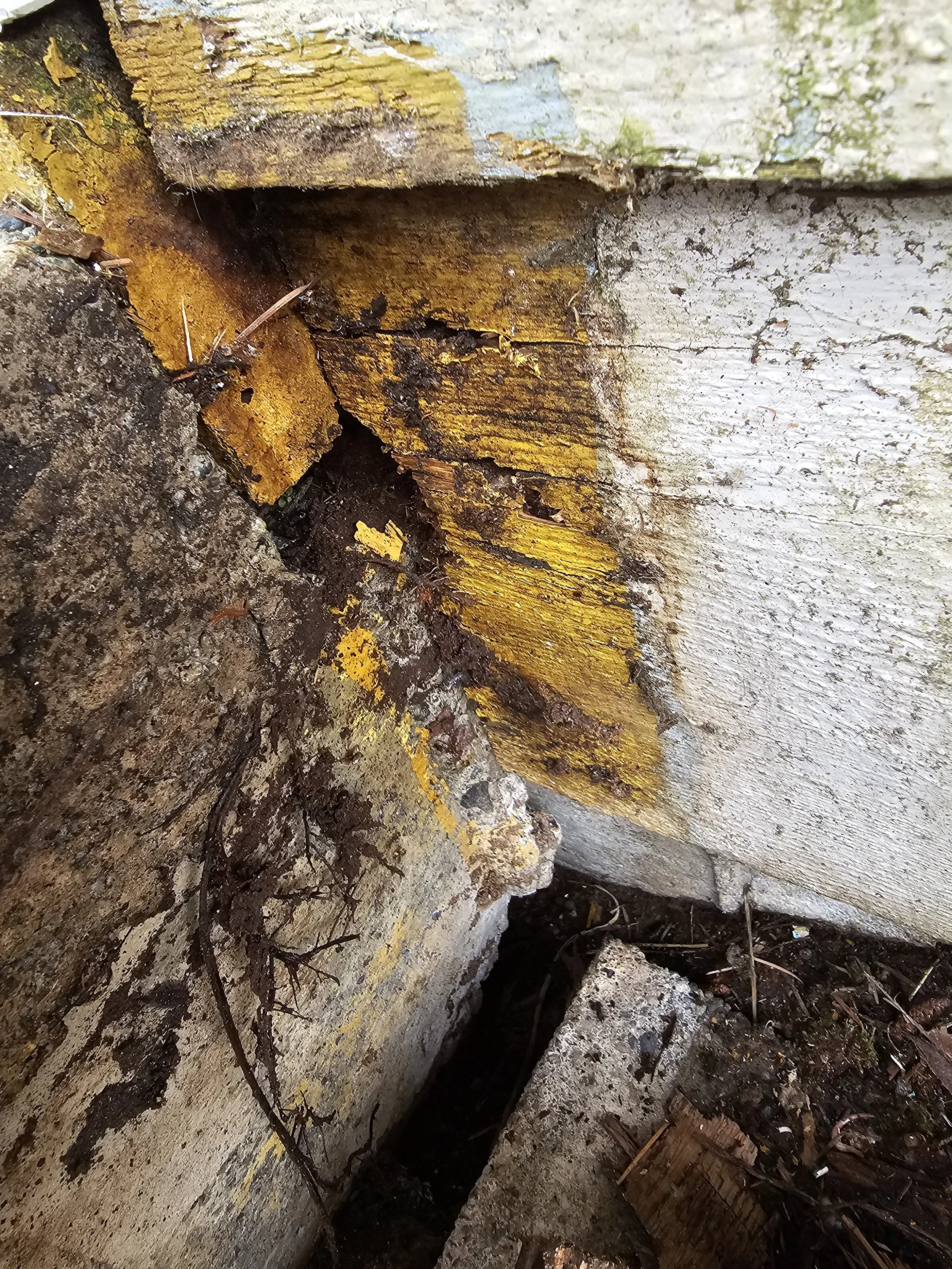 Decaying wooden siding with peeling yellow paint and dirt, adjacent to a concrete foundation with dark soil and debris at the base.